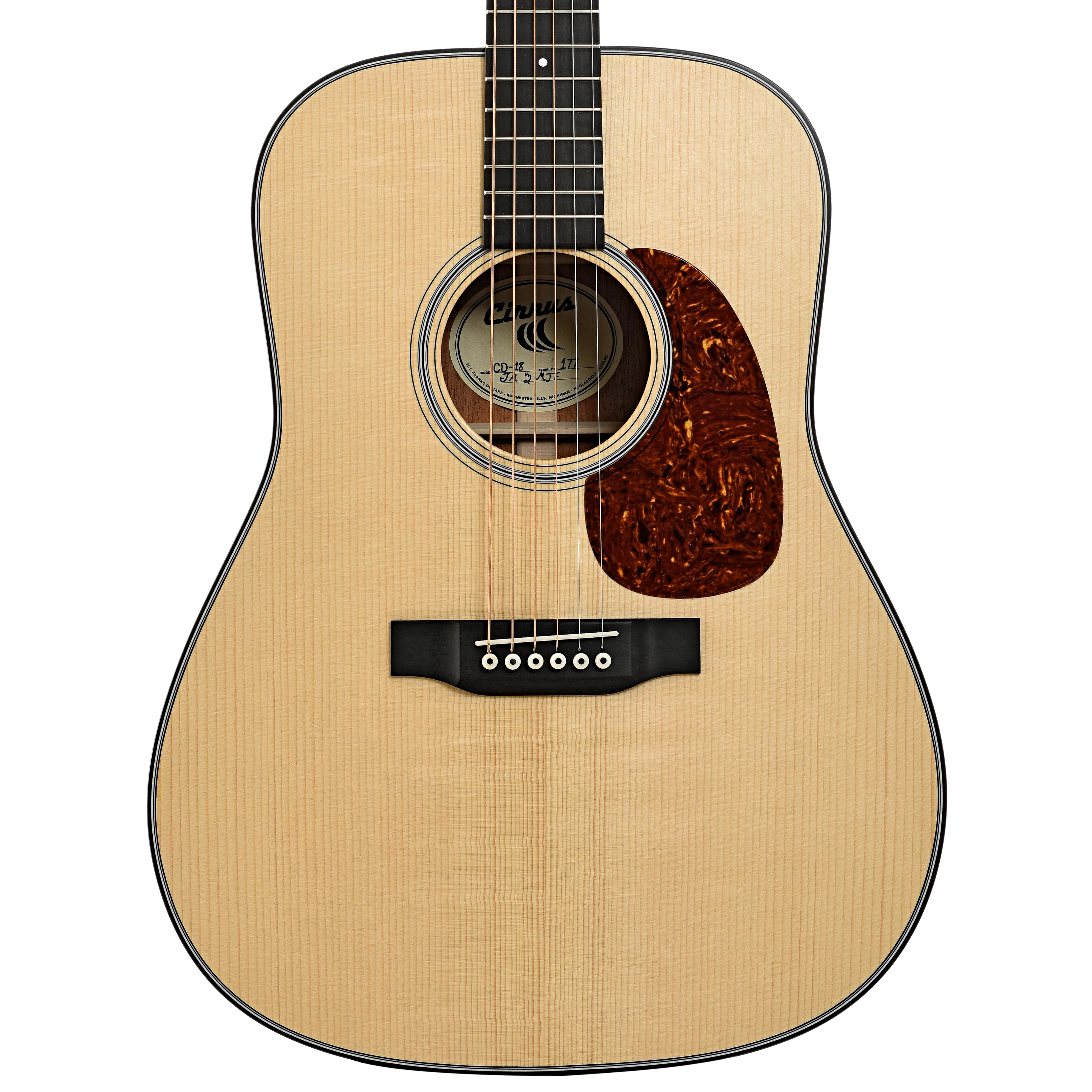 Cirrus Mahogany Dreadnought Acoustic Guitar & Case - Image 2
