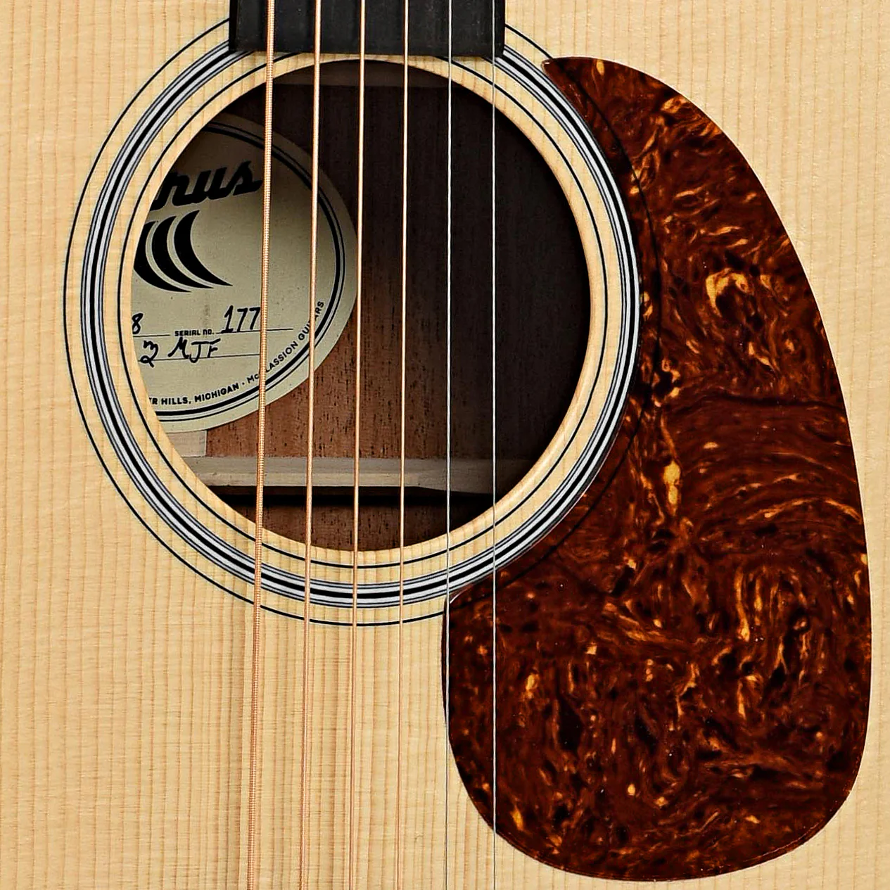 Cirrus Mahogany Dreadnought Acoustic Guitar & Case - Image 6