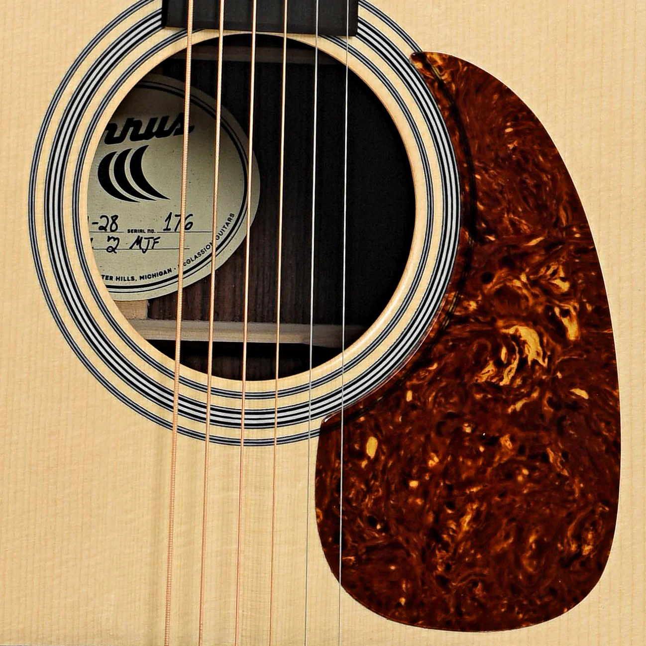 Cirrus Rosewood Dreadnought Acoustic Guitar & Case - Image 7