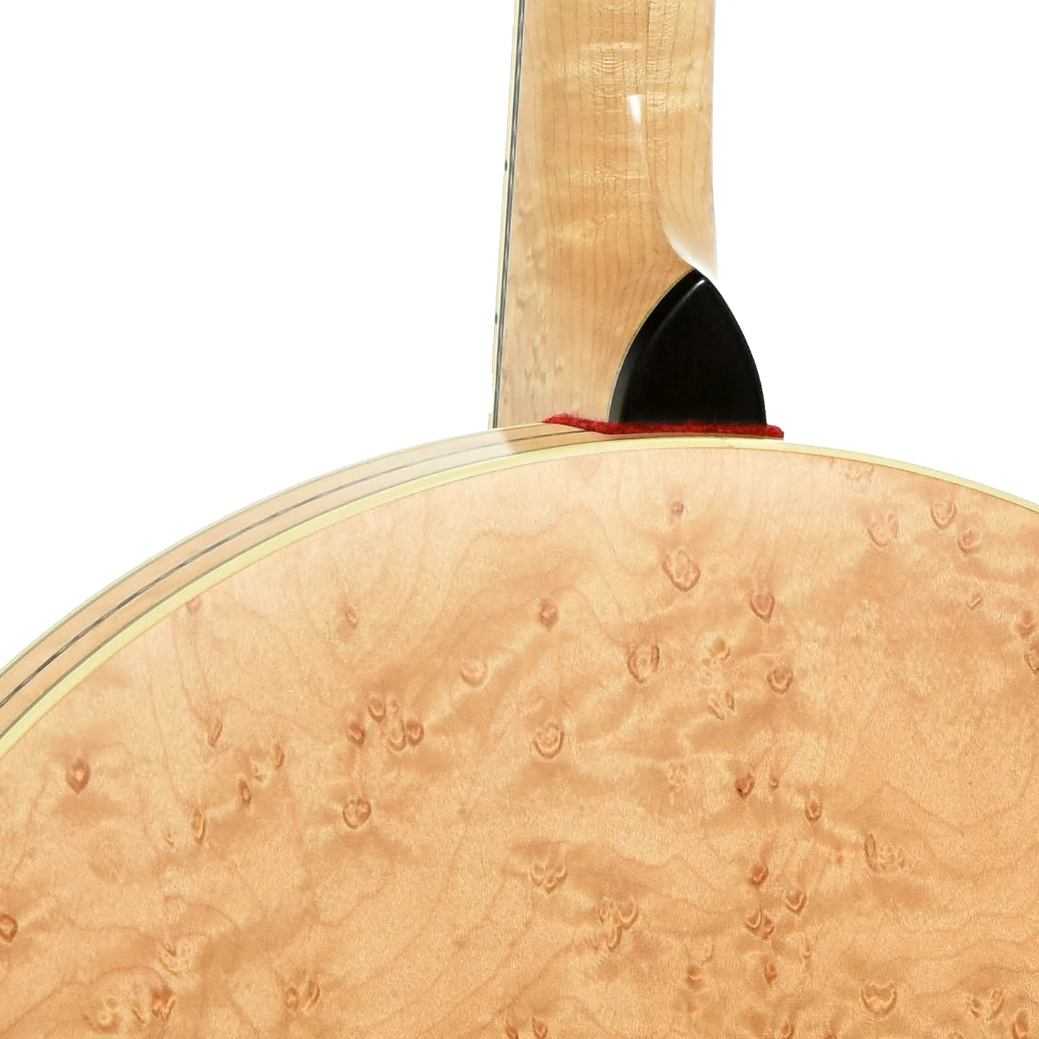Clareen Setanta Irish Tenor Banjo (2024) - Image 12