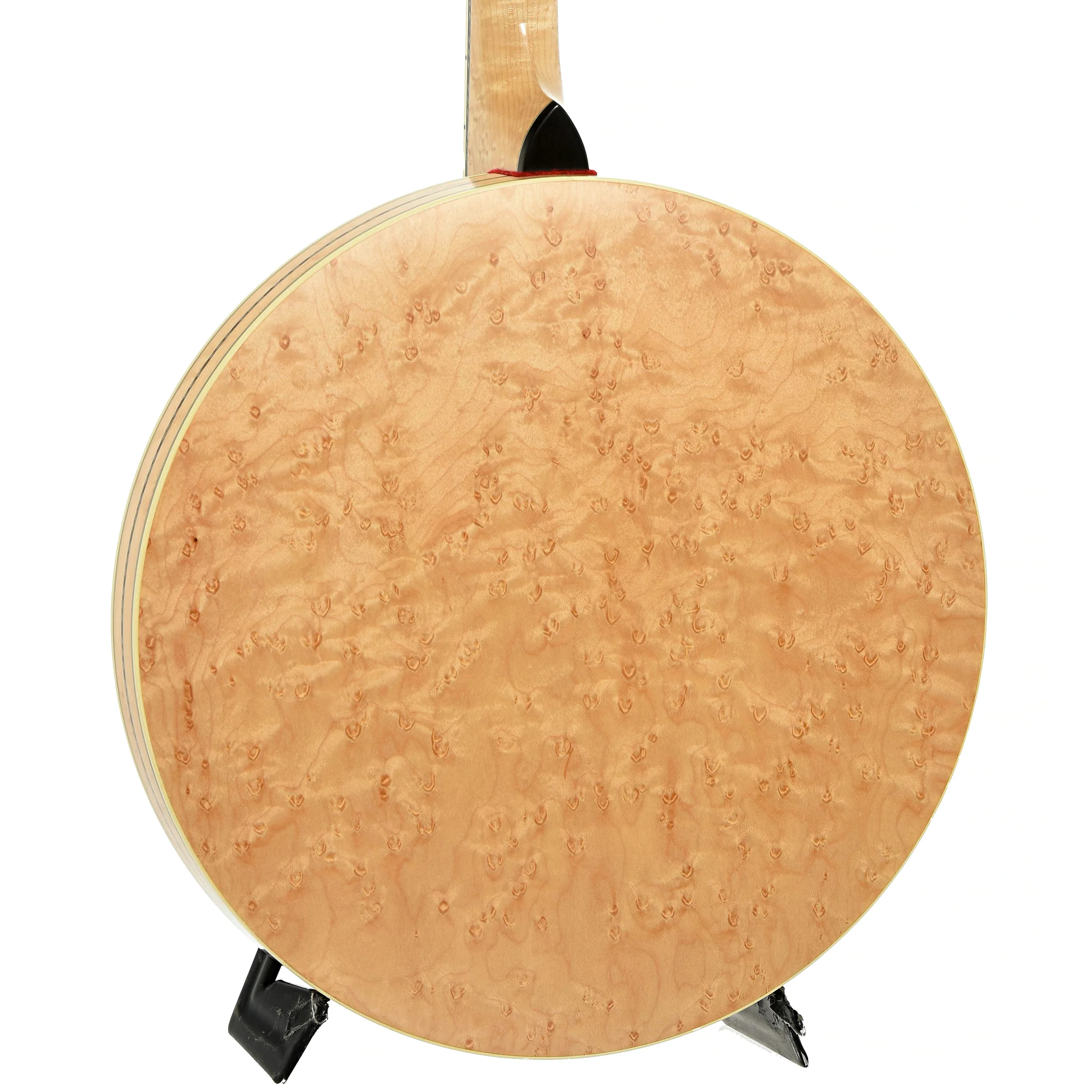 Clareen Setanta Irish Tenor Banjo (2024) - Image 13