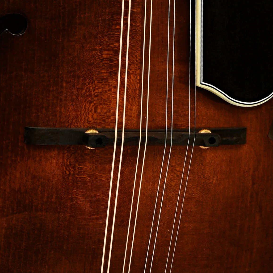 Clark F-5 Mandolin (2018) - Image 6