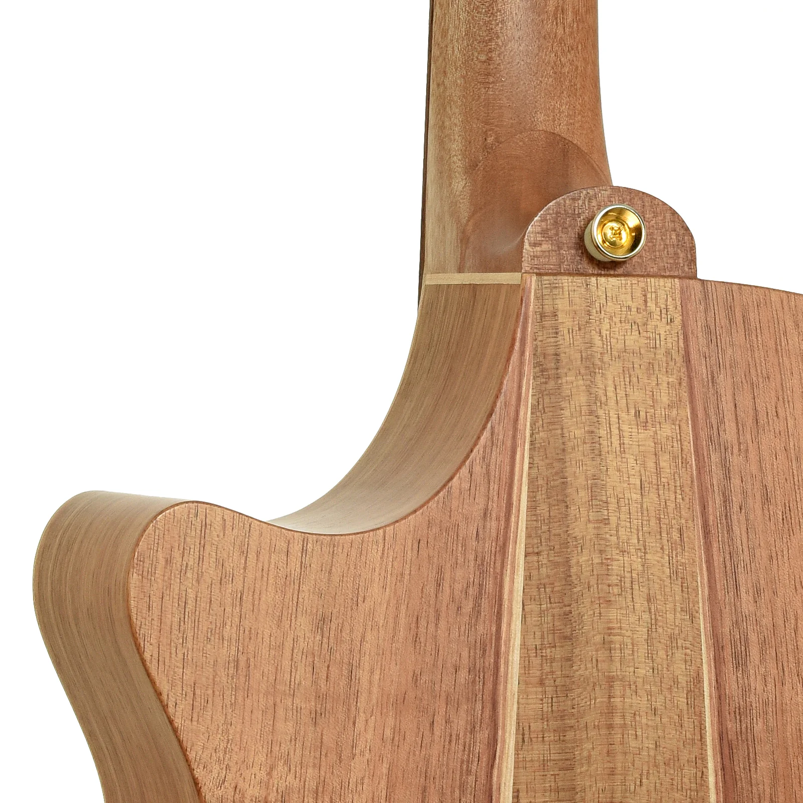 Cole Clark AN2EC Angel 2 Acoustic-Electric Guitar (2023) - Image 10