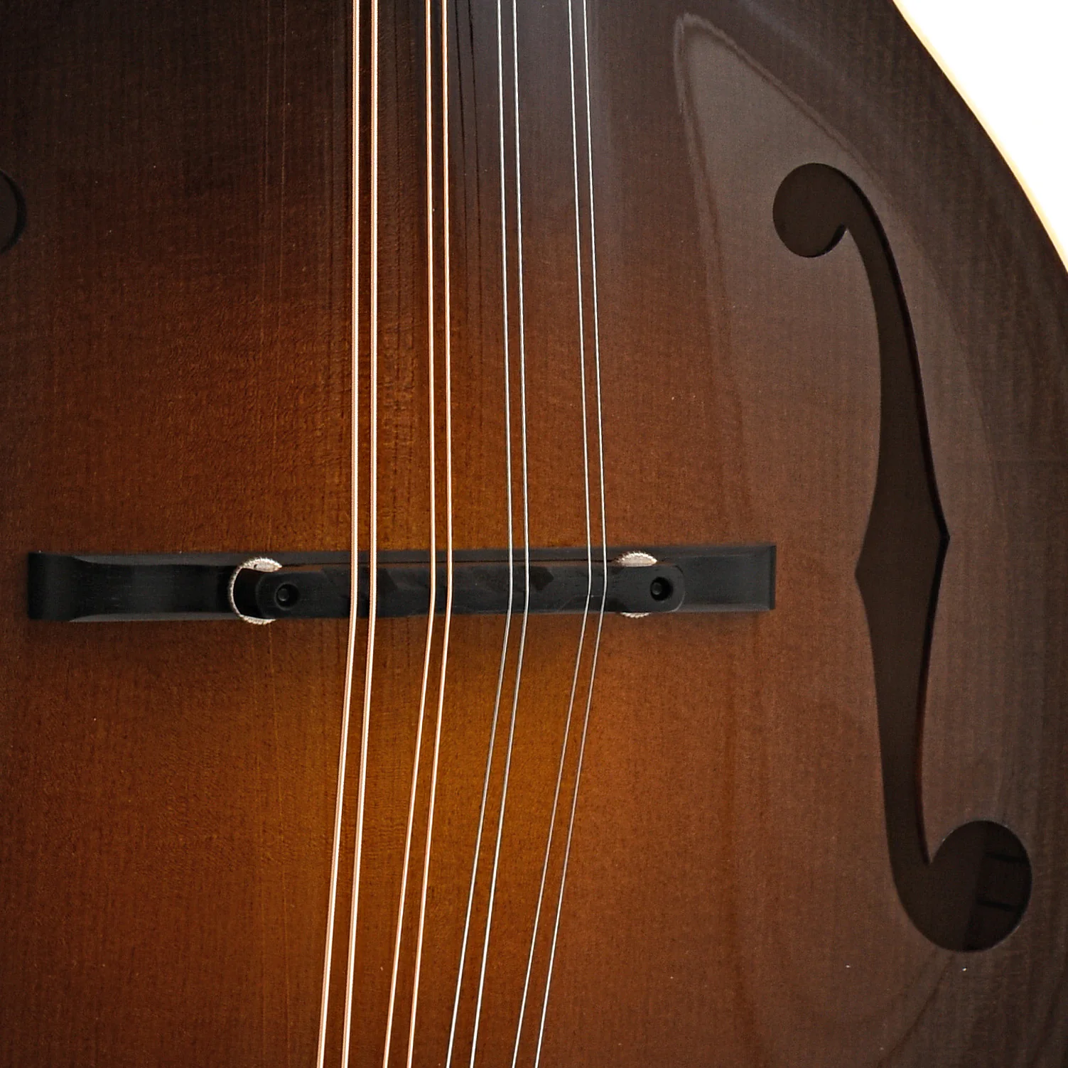 Collings MF F-Style Sunburst Mandolin & Case, Ivroid Binding - Image 5