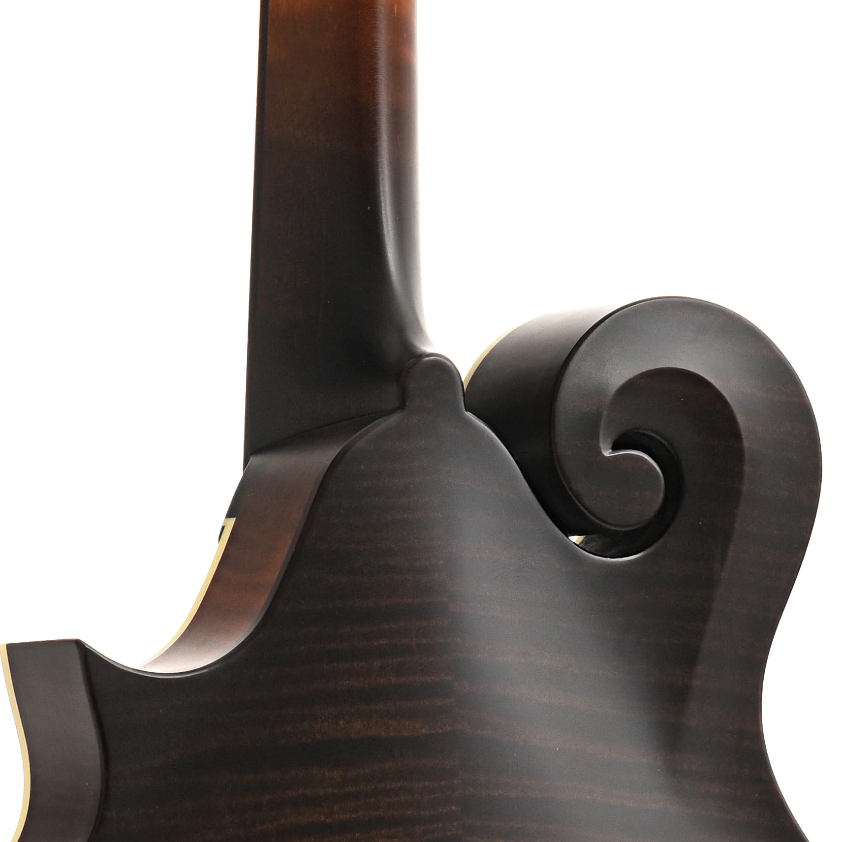 Collings MF F-Style Sunburst Mandolin & Case, Ivroid Binding - Image 9