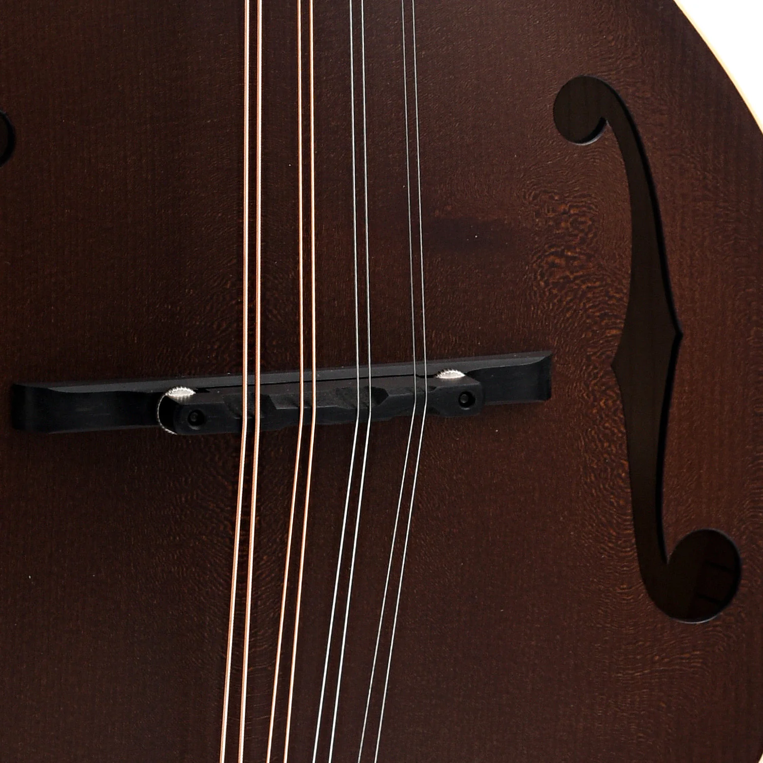Collings MT A-Style Mandolin & Case, Sheraton Brown - Image 5