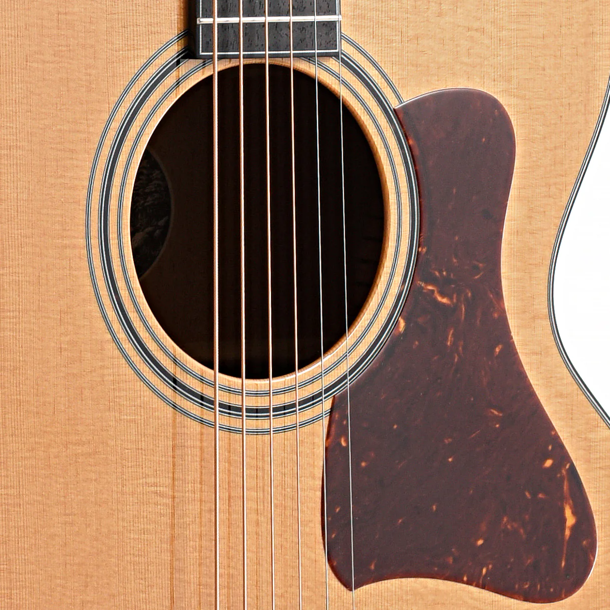 Collings SJ Mahogany Acoustic Guitar & Case, Short Scale - Image 5