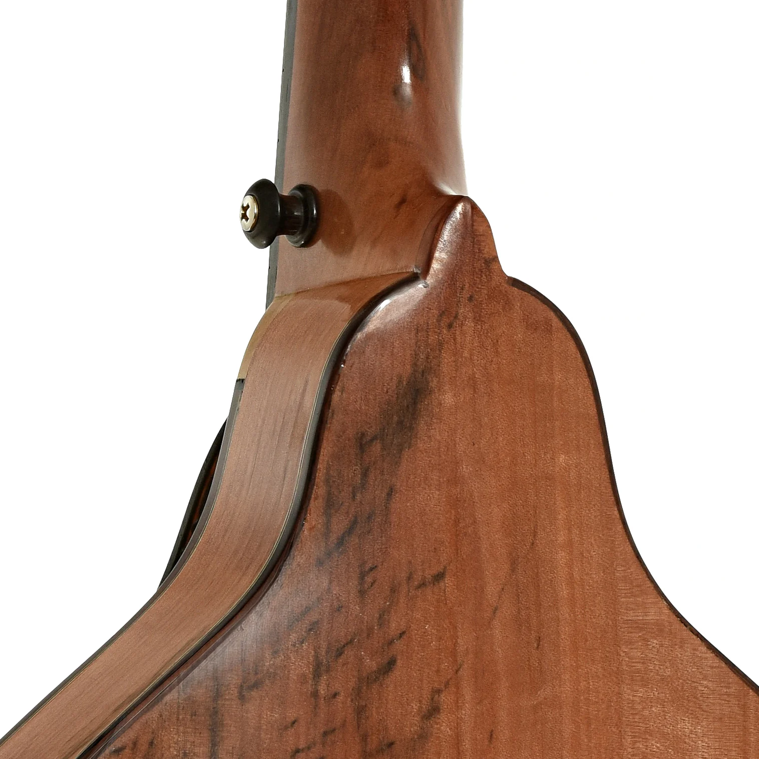 Peter Coombe Custom A Mandolin (2022) - Image 10