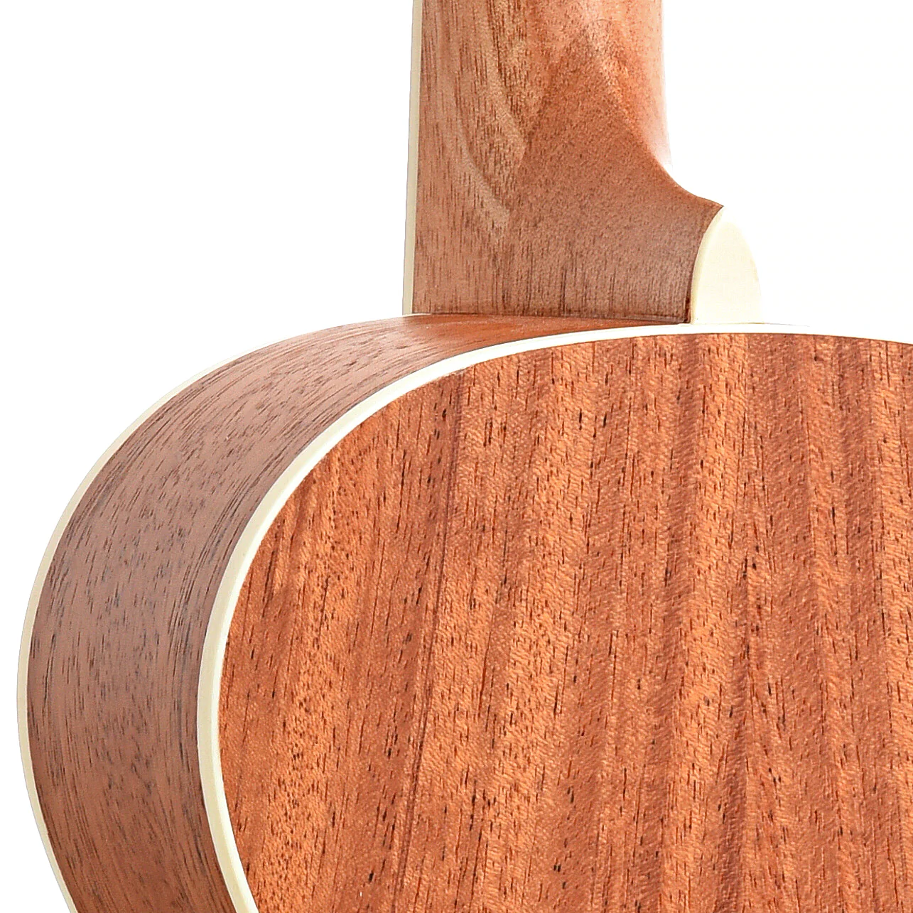 Cordoba 15TM Tenor Ukulele - Image 10