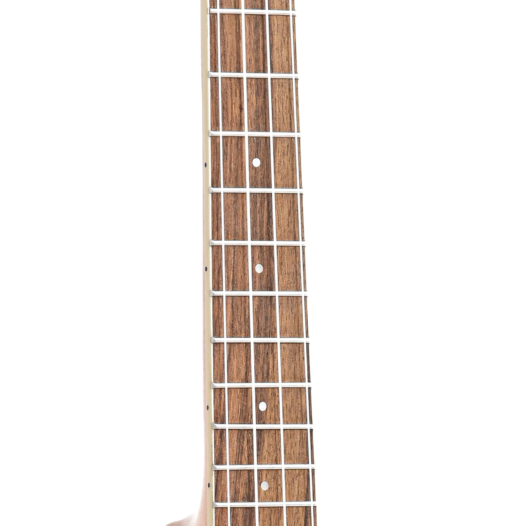 Cordoba 15TM Tenor Ukulele - Image 7