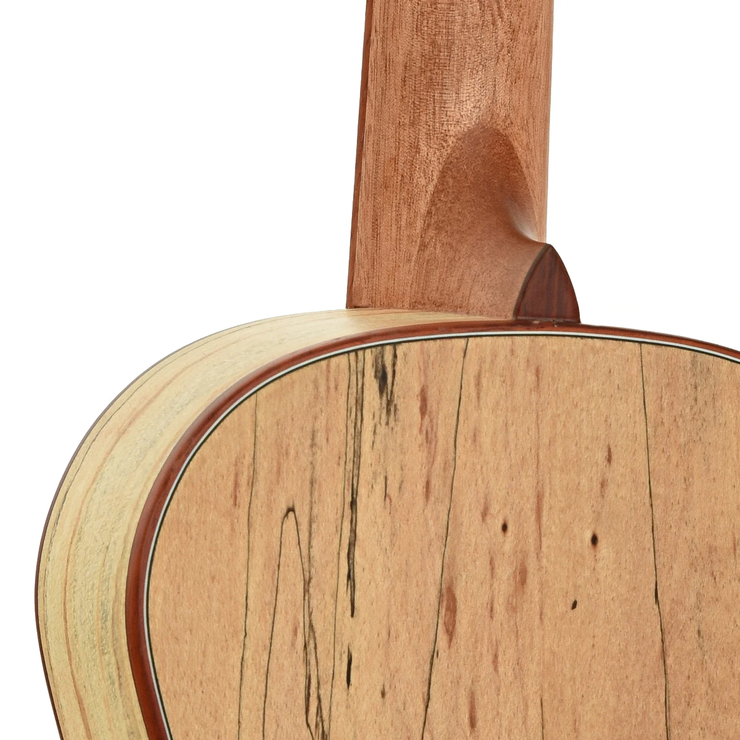 Cordoba 24B Baritone Ukulele (c.2020) - Image 10