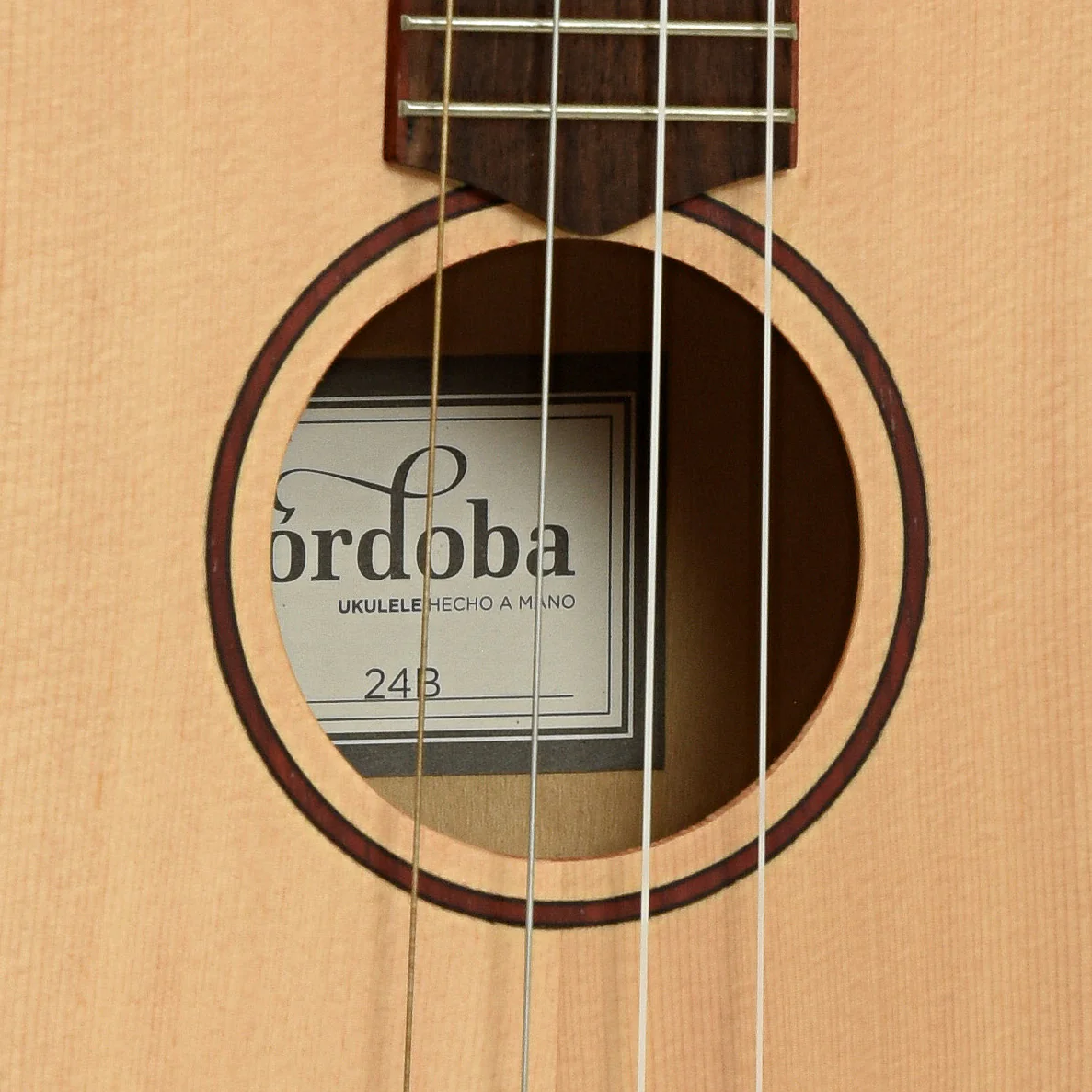 Cordoba 24B Baritone Ukulele (c.2020) - Image 6