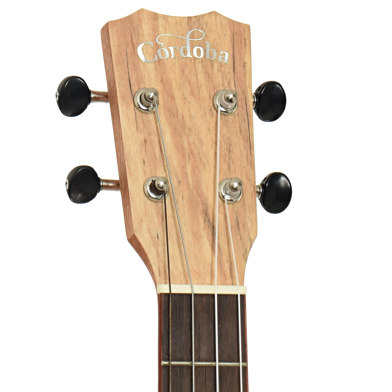 Cordoba 24B Baritone Ukulele (c.2020) - Image 8