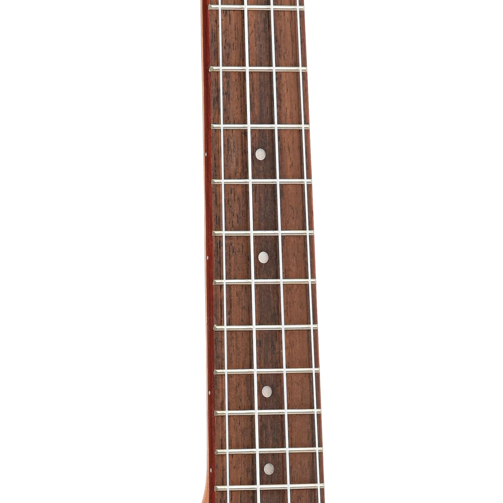 Cordoba 24T-CE Tenor Ukulele, with Pickup - Image 6