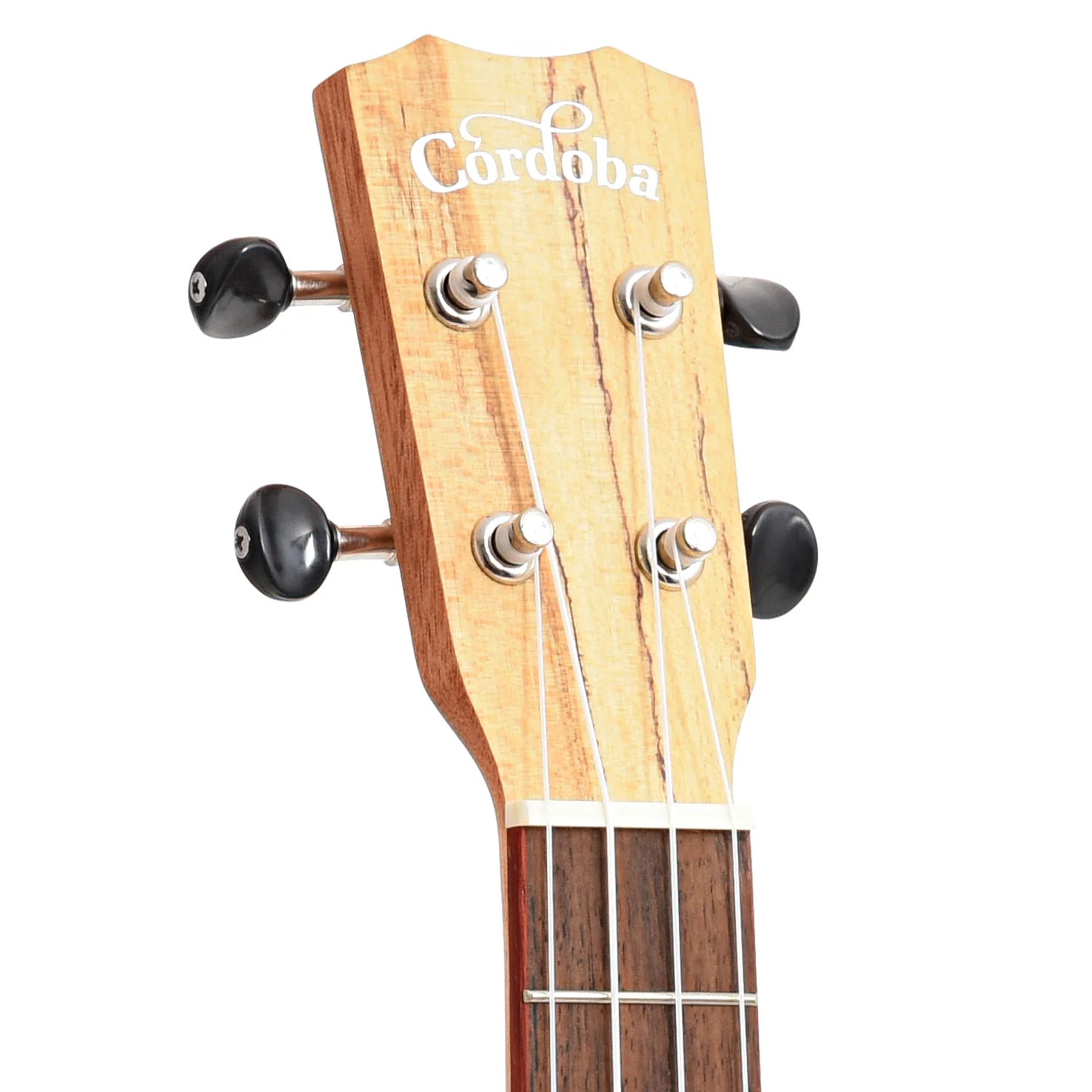 Cordoba 24T-CE Tenor Ukulele, with Pickup - Image 7