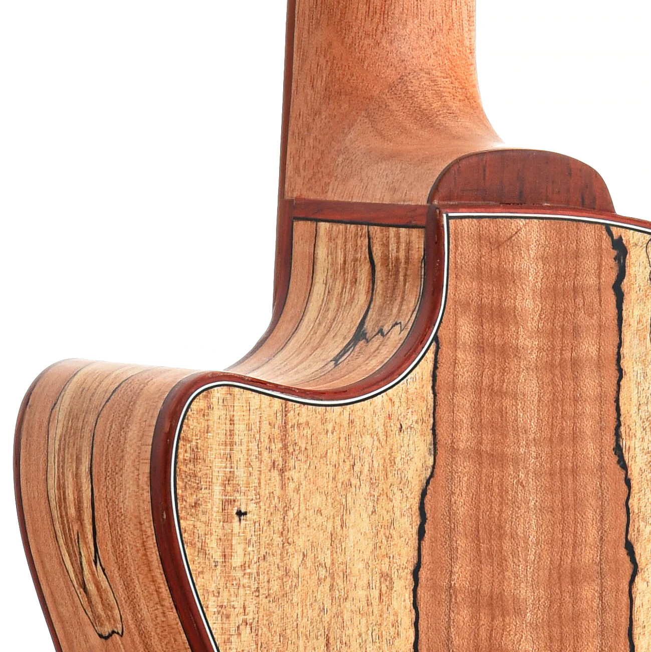 Cordoba 24T-CE Tenor Ukulele, with Pickup - Image 9