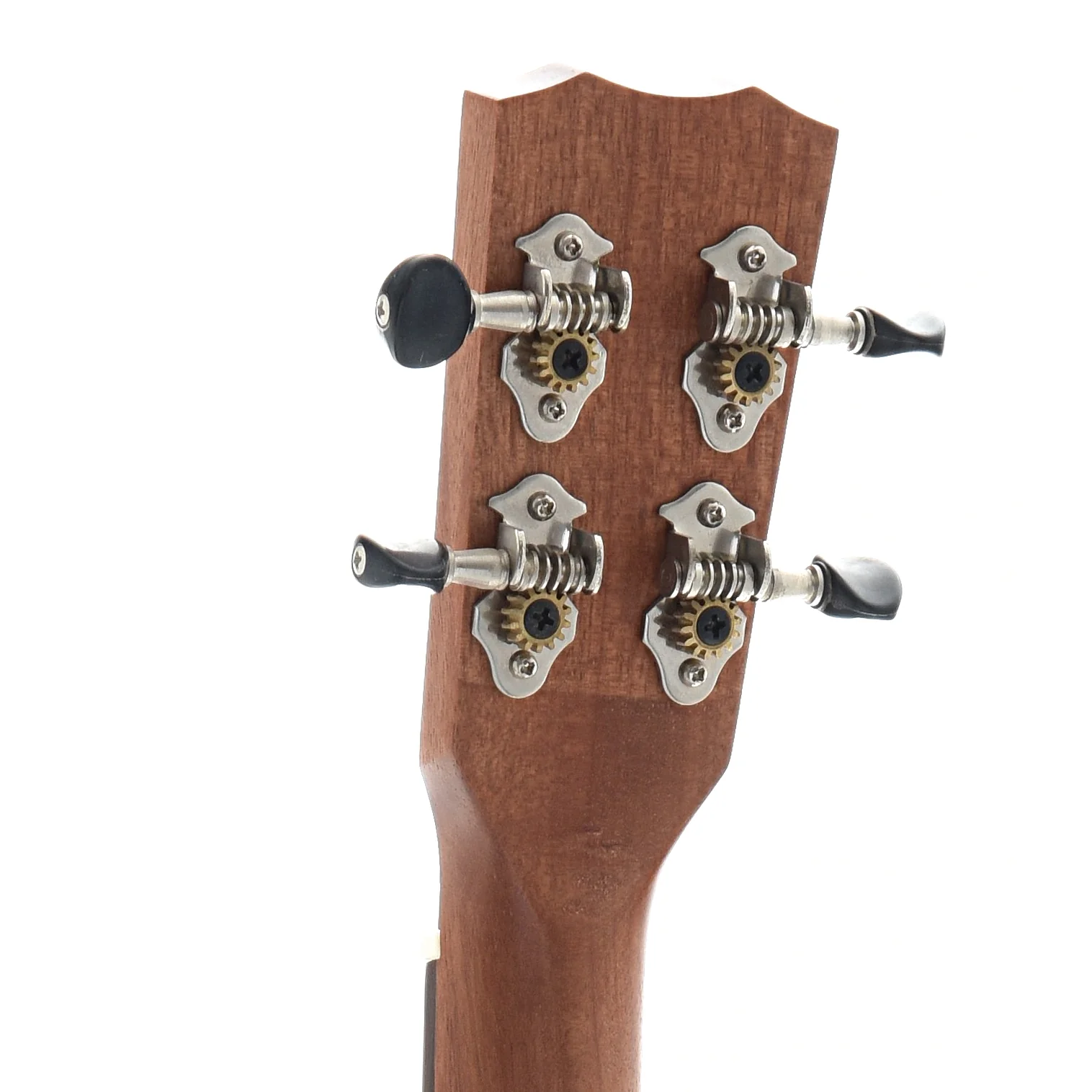 Cordoba 25T Tenor Ukulele - Image 7