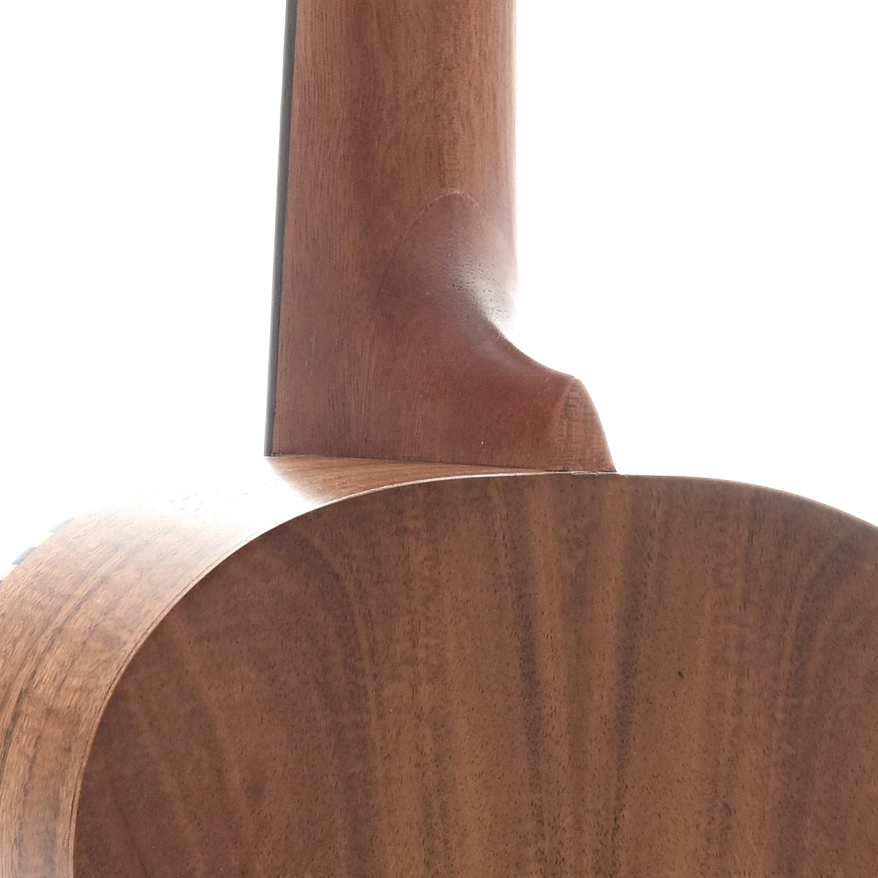 Cordoba 25T Tenor Ukulele - Image 8