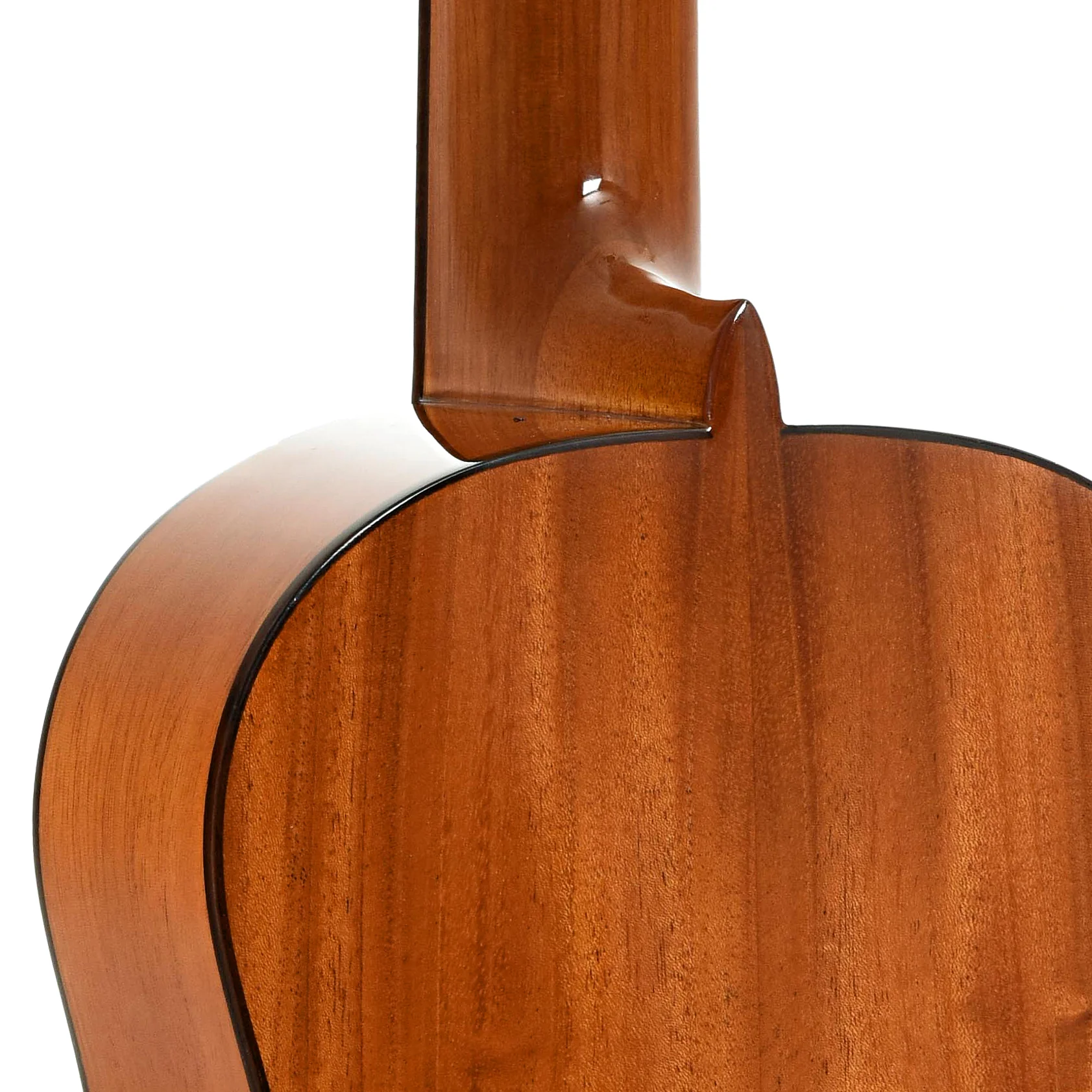 Cordoba 30T Tenor Ukulele & Case - Image 10