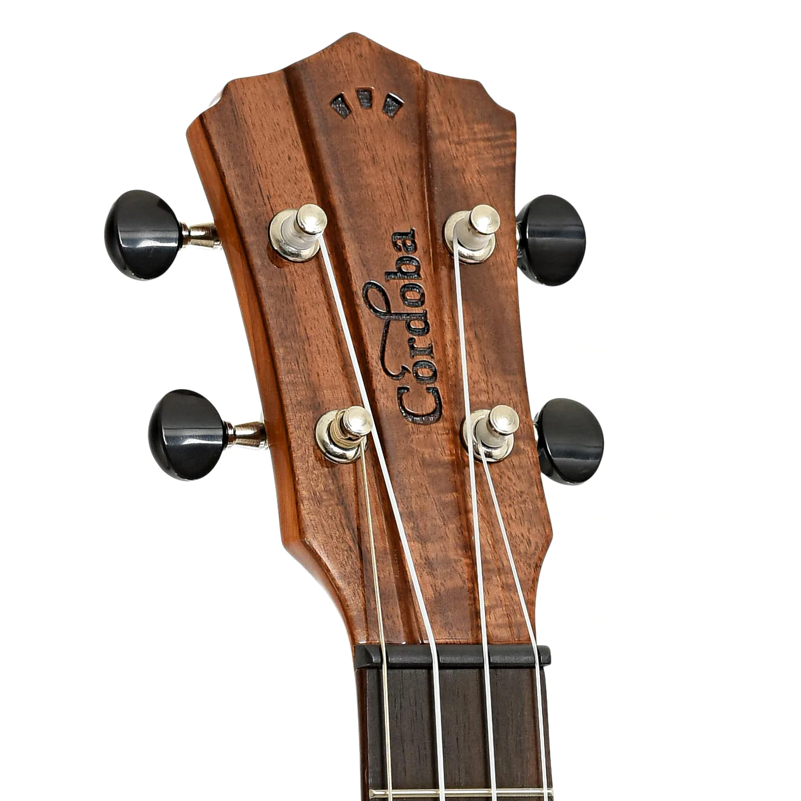 Cordoba 30T Tenor Ukulele & Case - Image 8