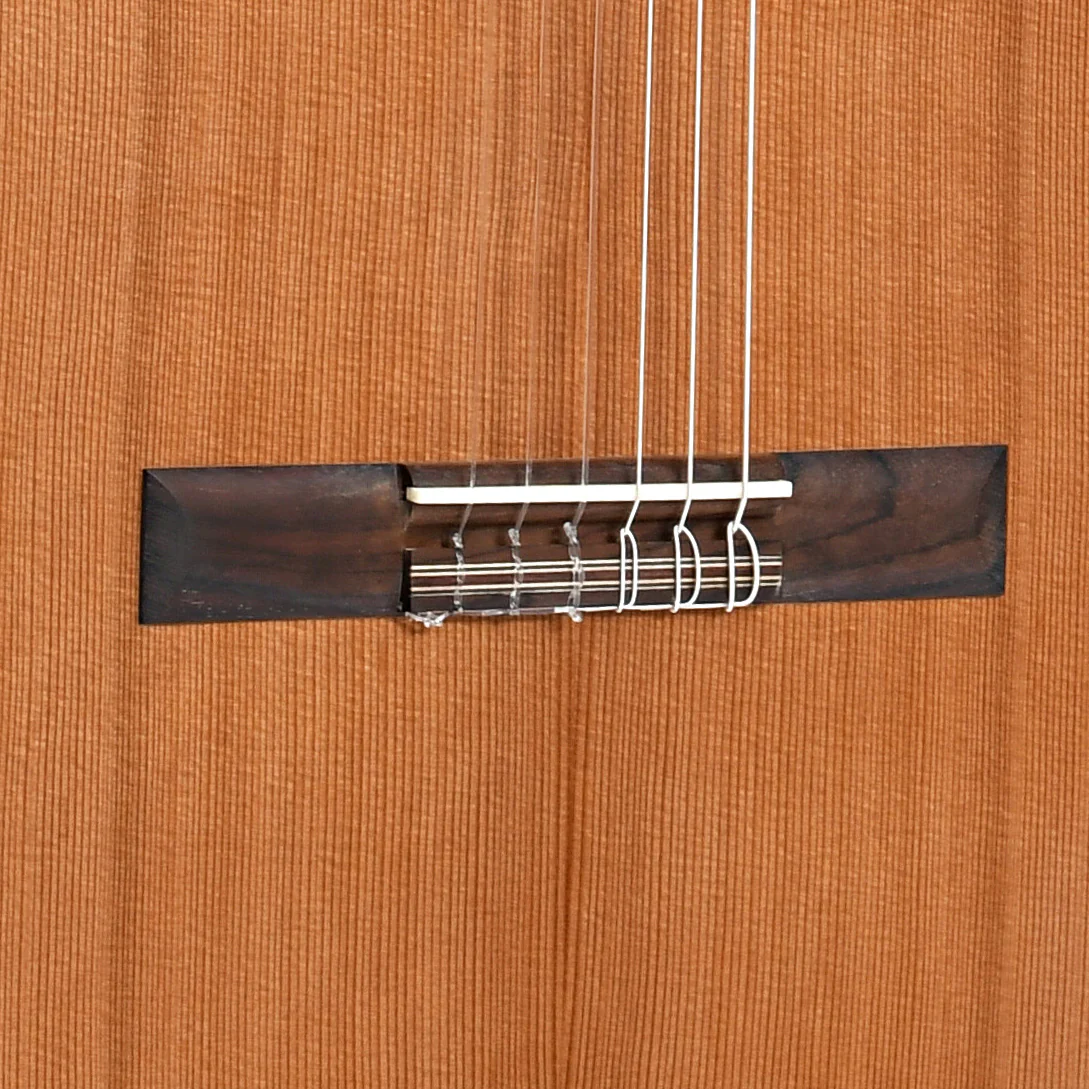 Cordoba C5-CE Left-Handed Classical Acoustic-Electric Guitar - Image 4