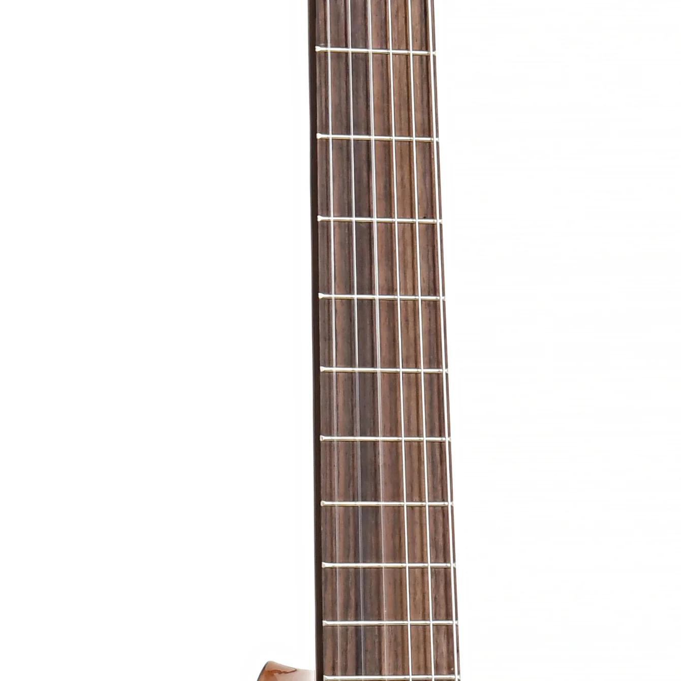 Cordoba C5-CE Left-Handed Classical Acoustic-Electric Guitar - Image 6