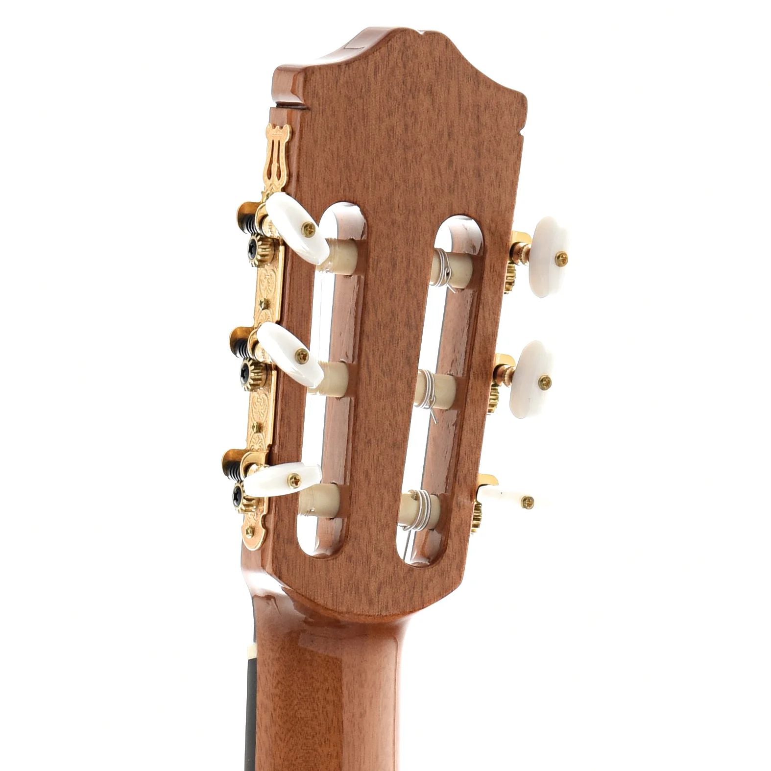 Cordoba C5 Classical Acoustic Guitar - Image 9