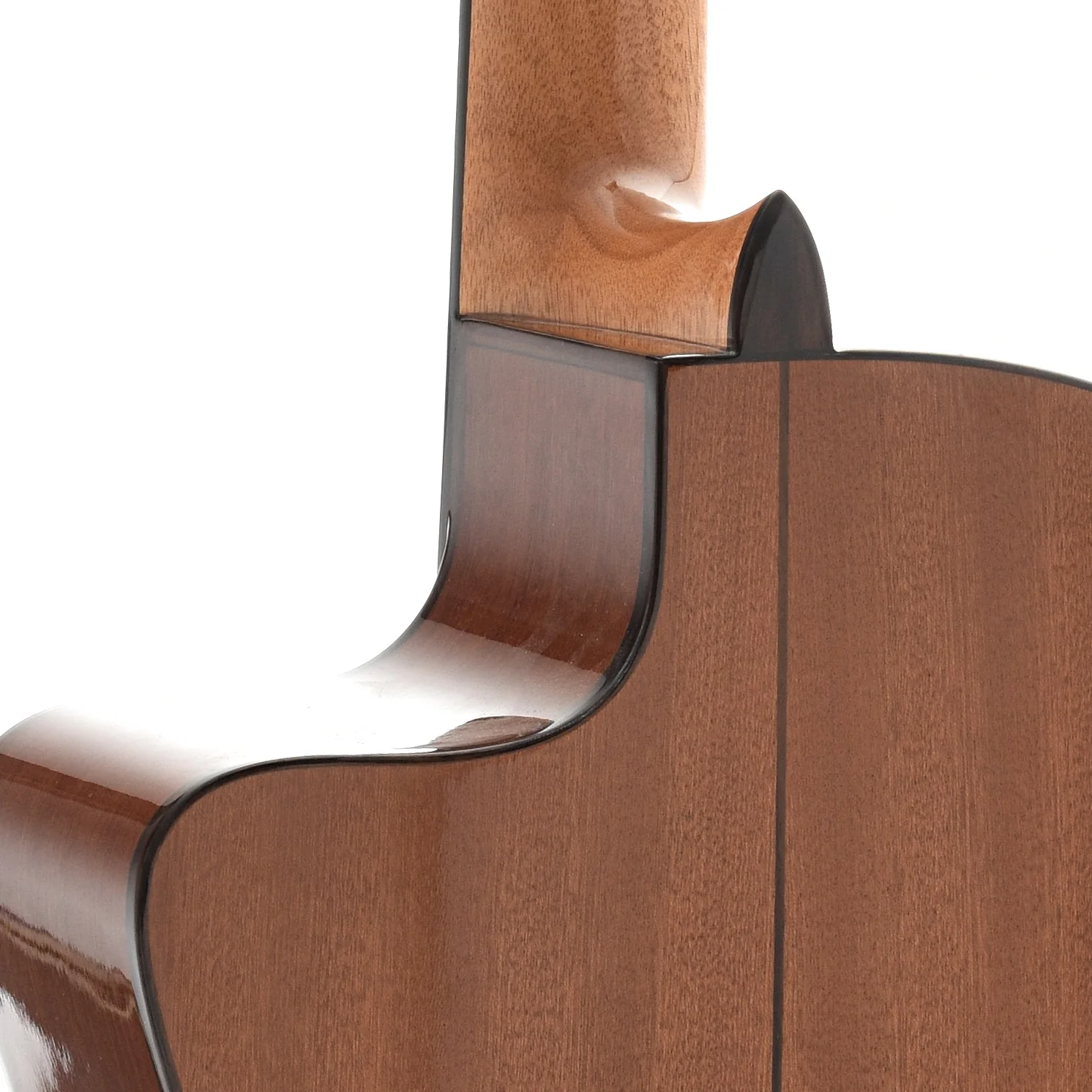 Cordoba C5CE Classical Acoustic-Electric Guitar - Image 10