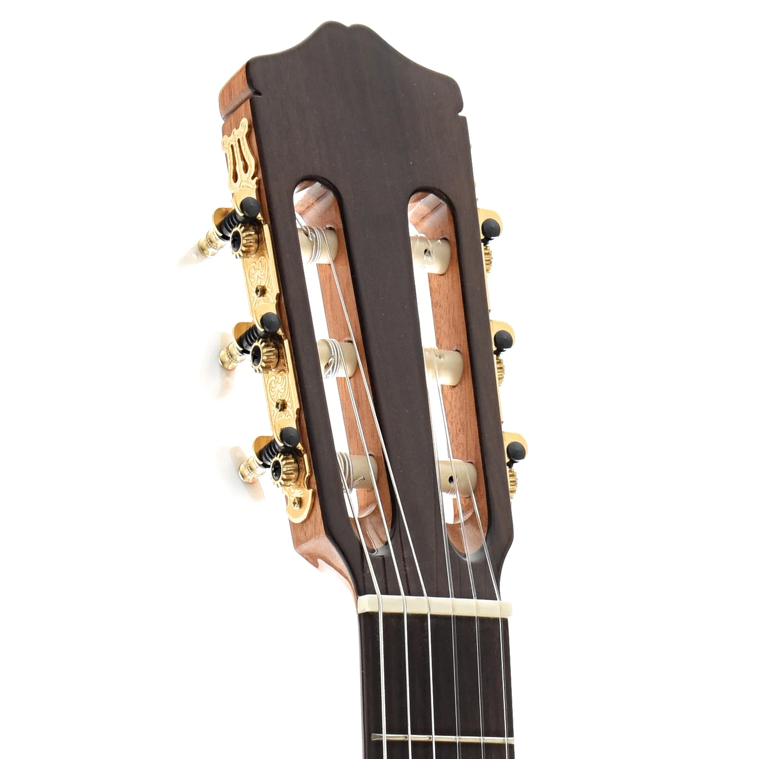 Cordoba C5CE Classical Acoustic-Electric Guitar - Image 8
