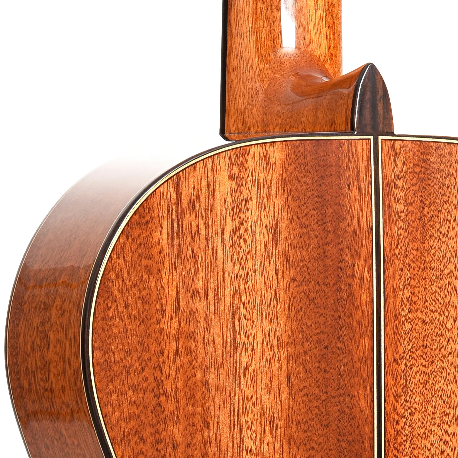 Cordoba C9 CD Classical Acoustic Guitar & Case - Image 10