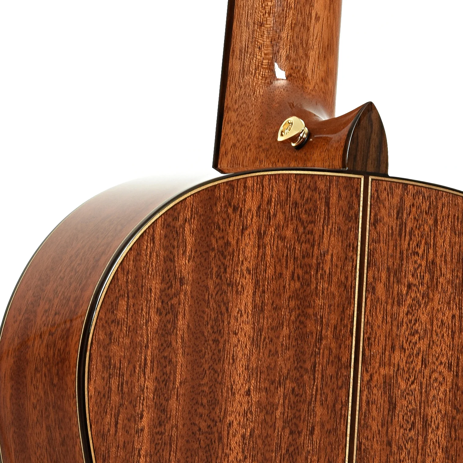 Cordoba C9 Parlor 7/8 Size Classical Guitar (2021) - Image 10