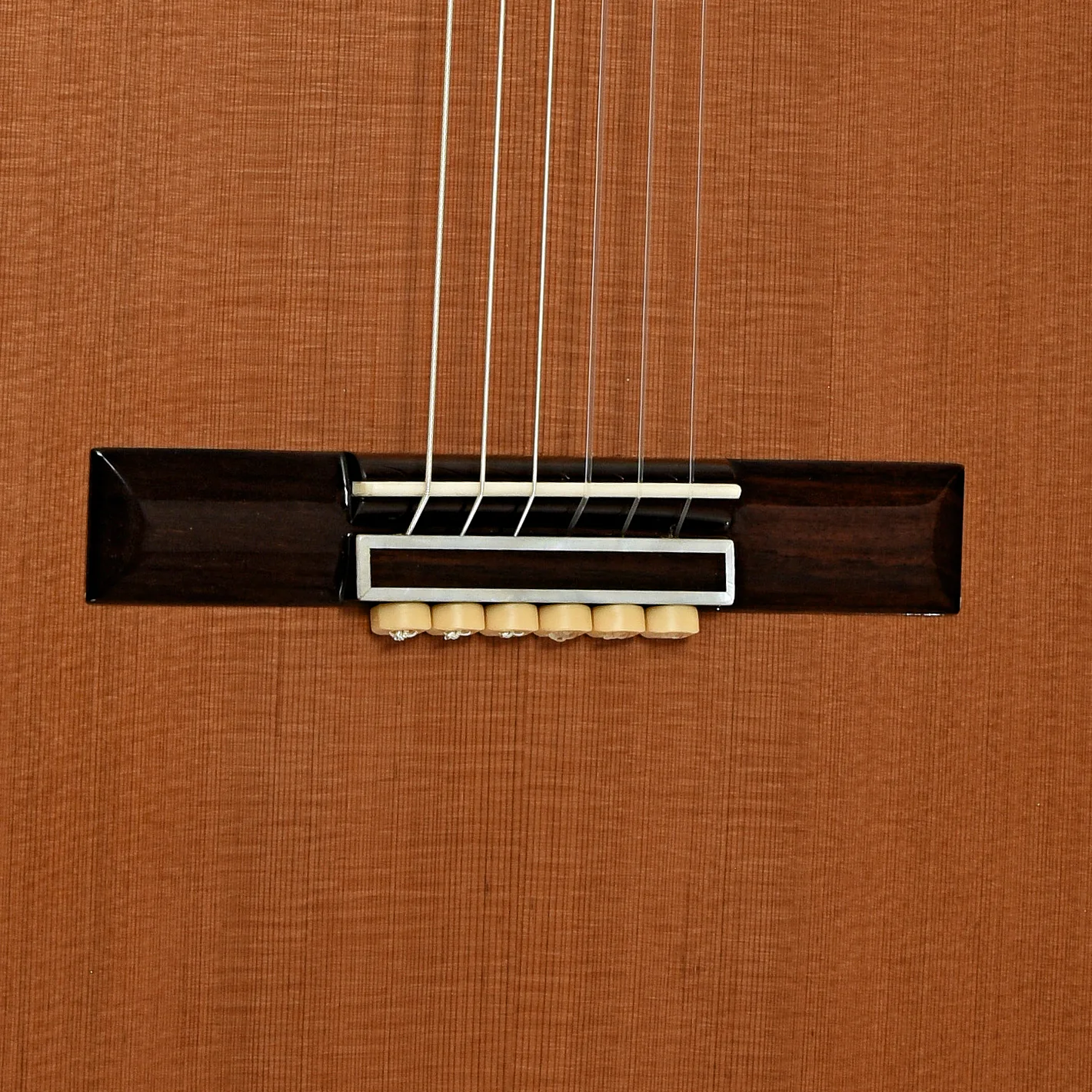 Cordoba C9 Parlor 7/8 Size Classical Guitar (2021) - Image 5