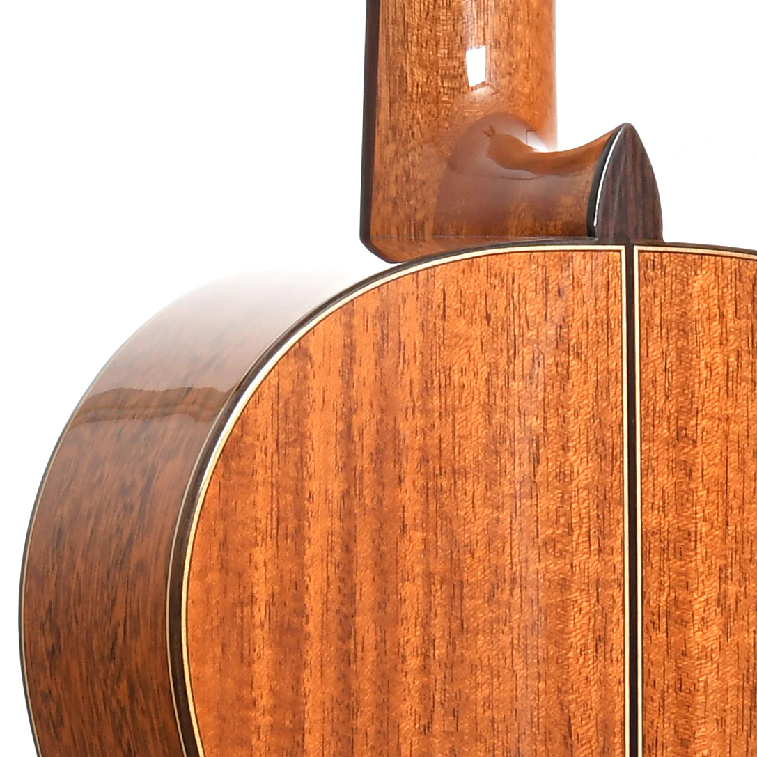Cordoba C9 Parlor Classical Acoustic Guitar & Case - Image 10
