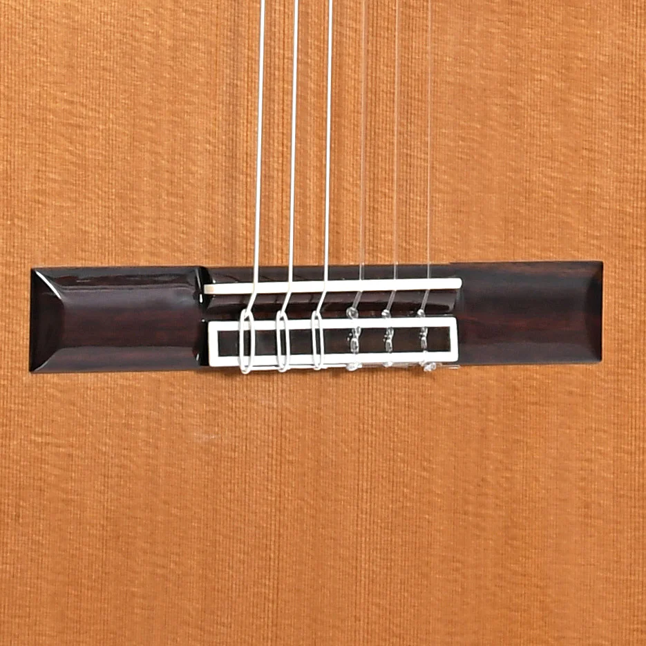 Cordoba C9 Parlor Classical Acoustic Guitar & Case - Image 5