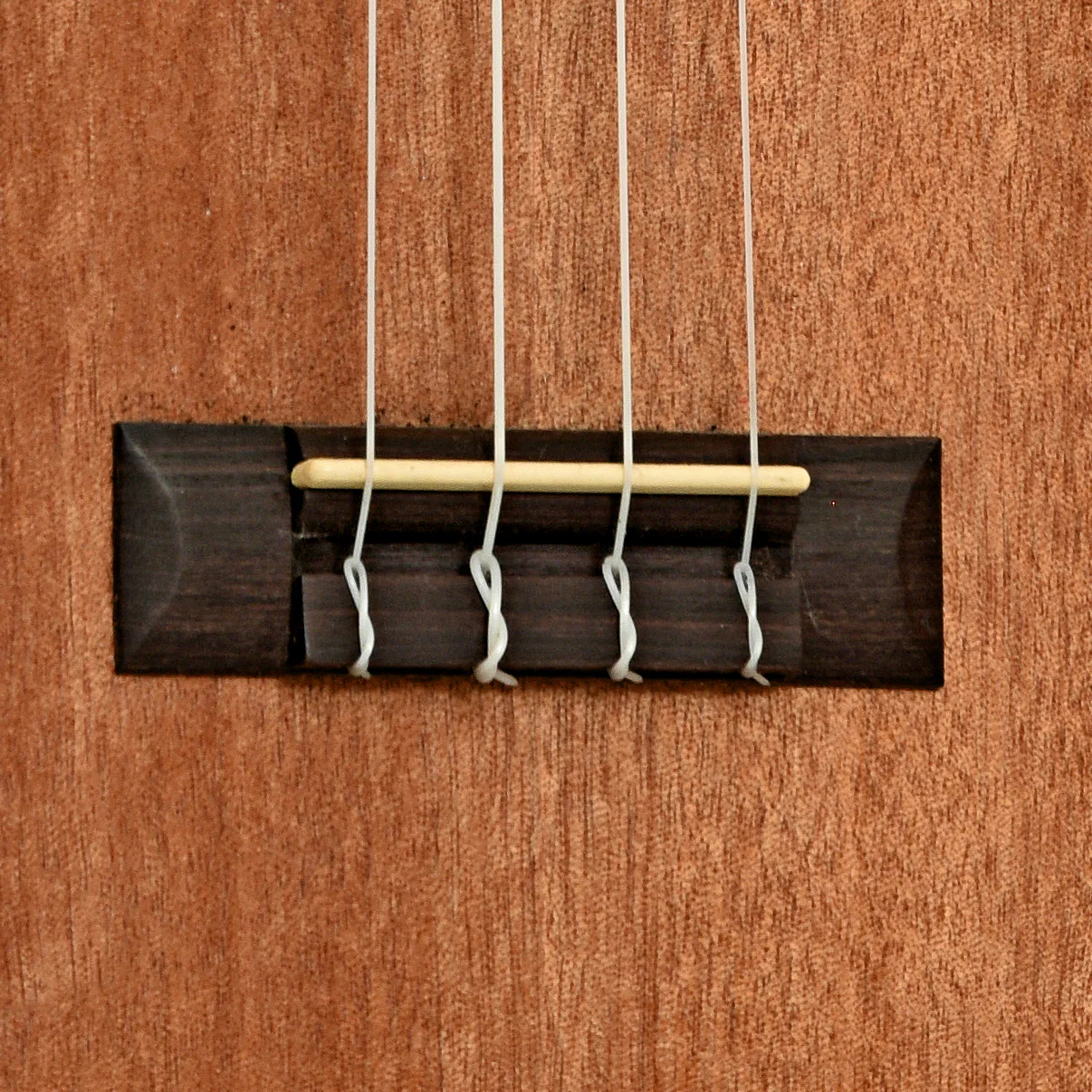 Cordoba CM15 Concert Ukulele (2019) - Image 5