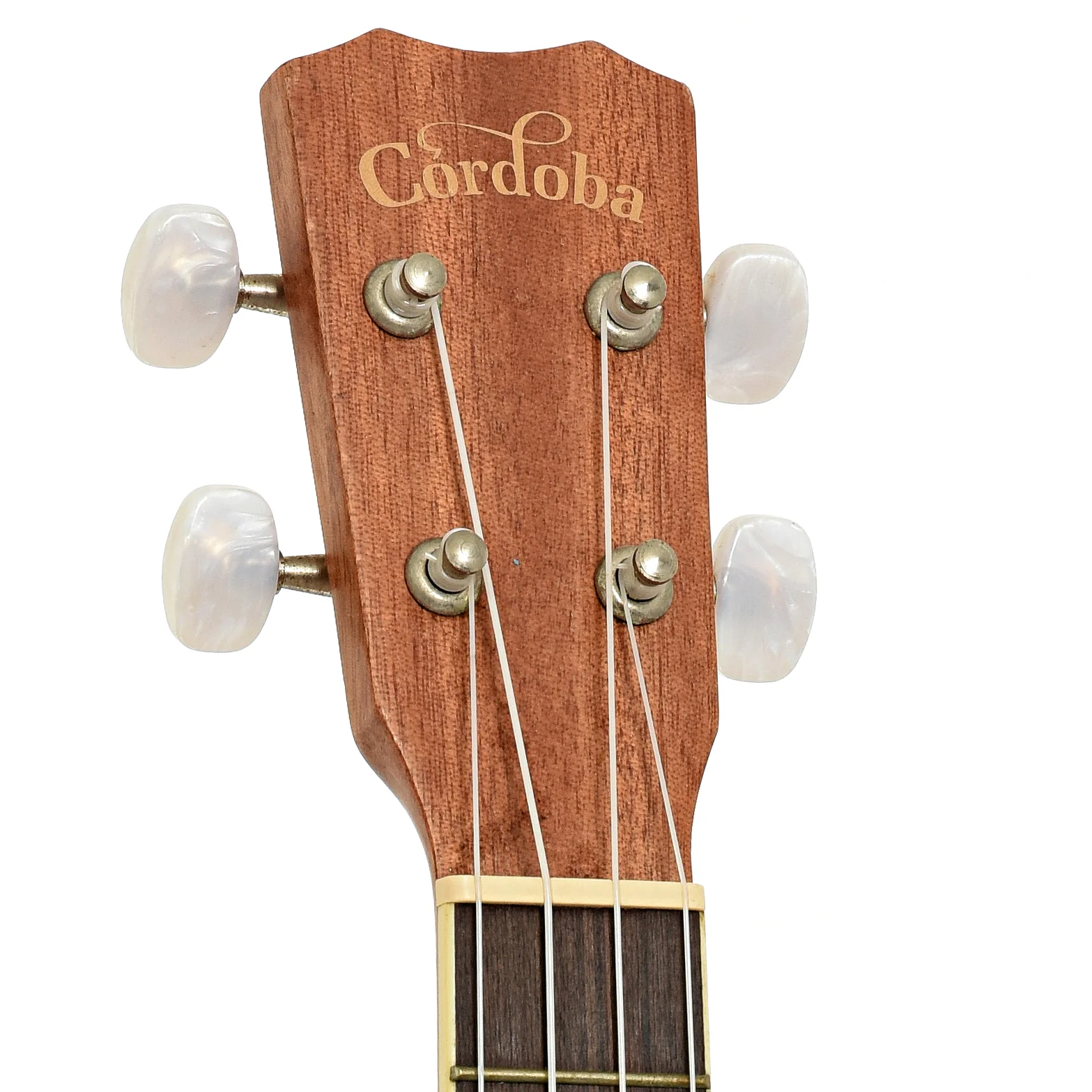 Cordoba CM15 Concert Ukulele (2019) - Image 8