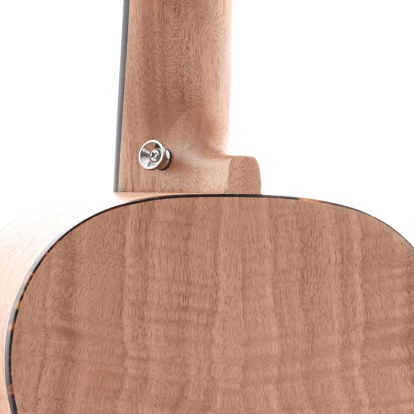 Cordoba Mini II FMH Travel-Sized Acoustic Guitar - Image 10