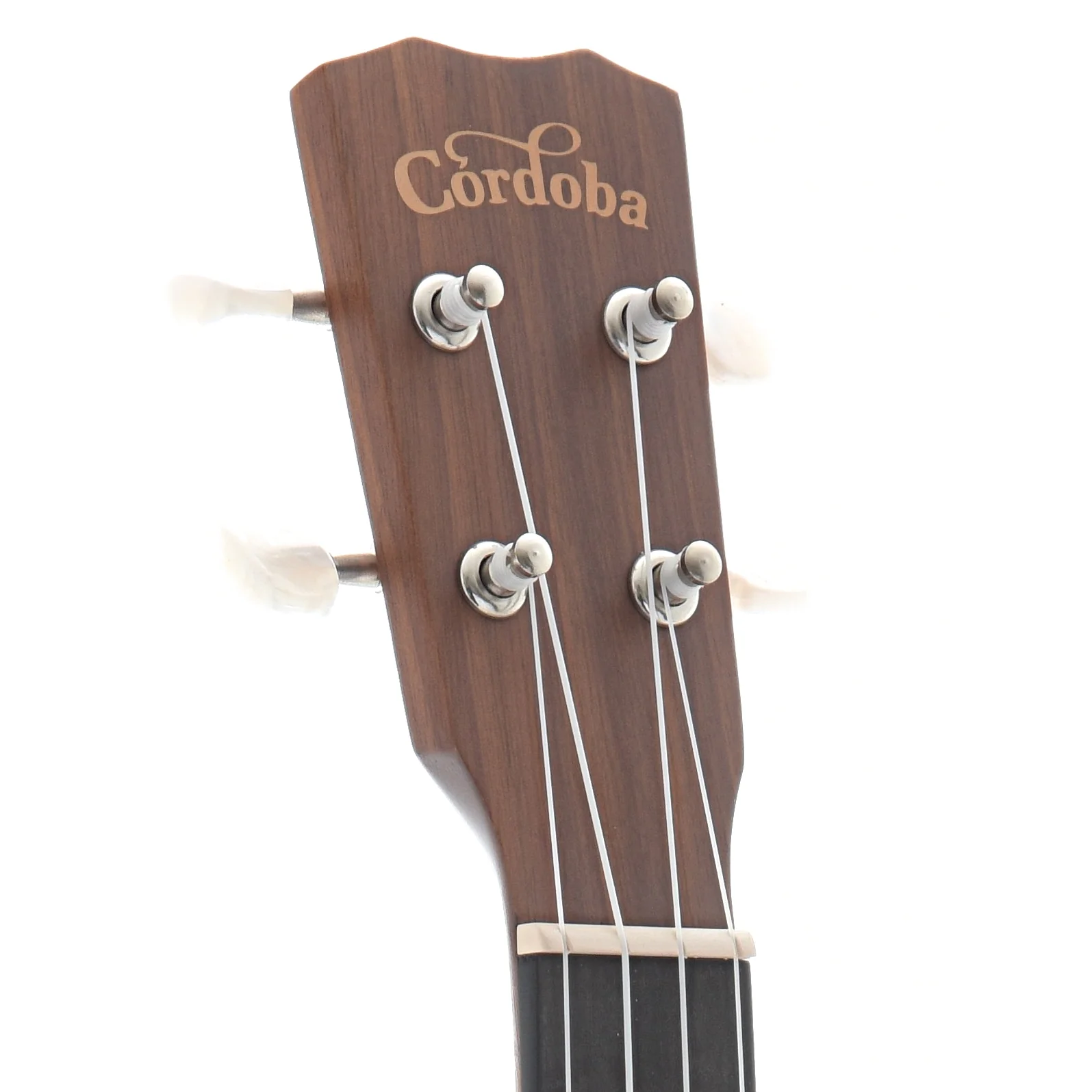 Cordoba Concert Ukulele Starter Pack - Image 8