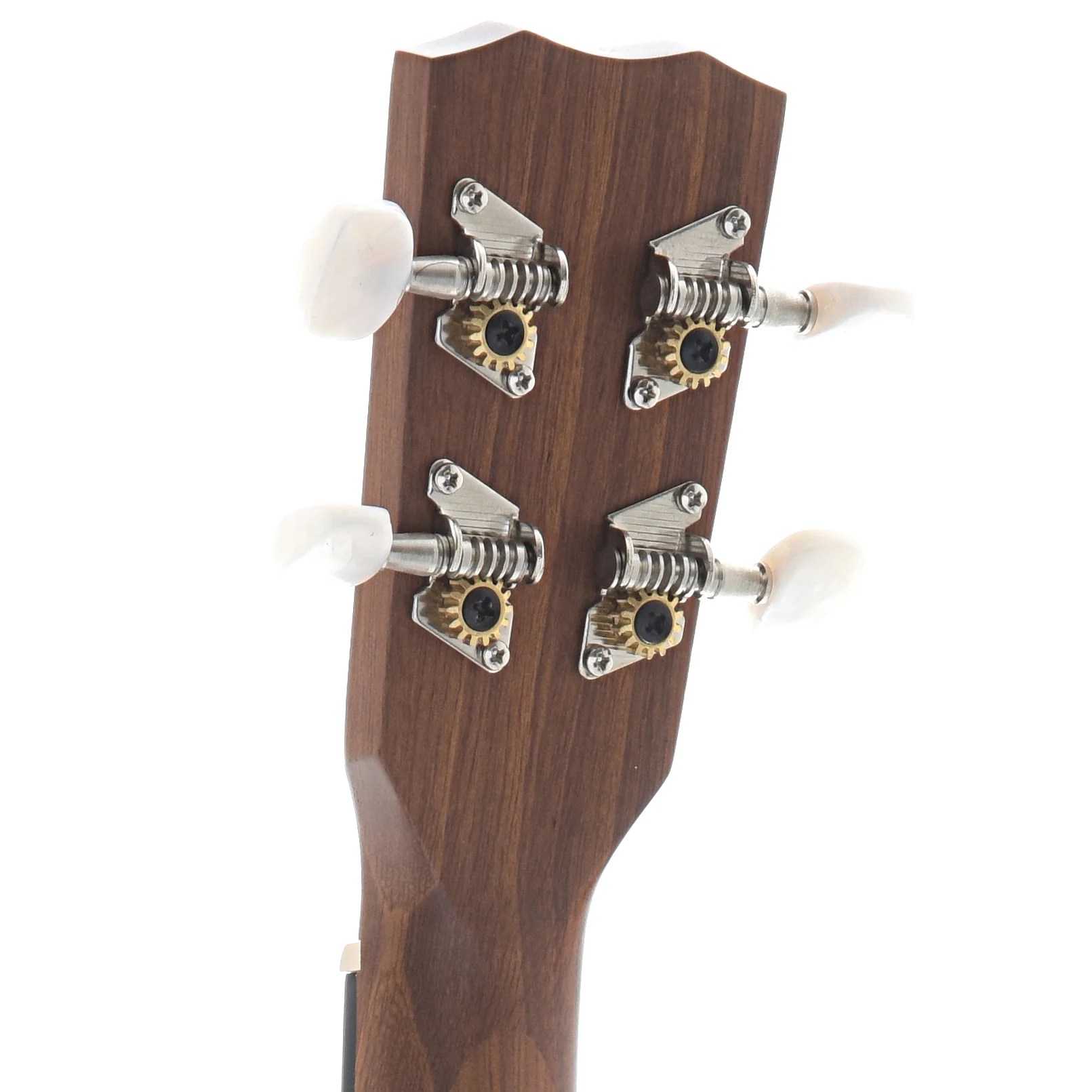 Cordoba Concert Ukulele Starter Pack - Image 9