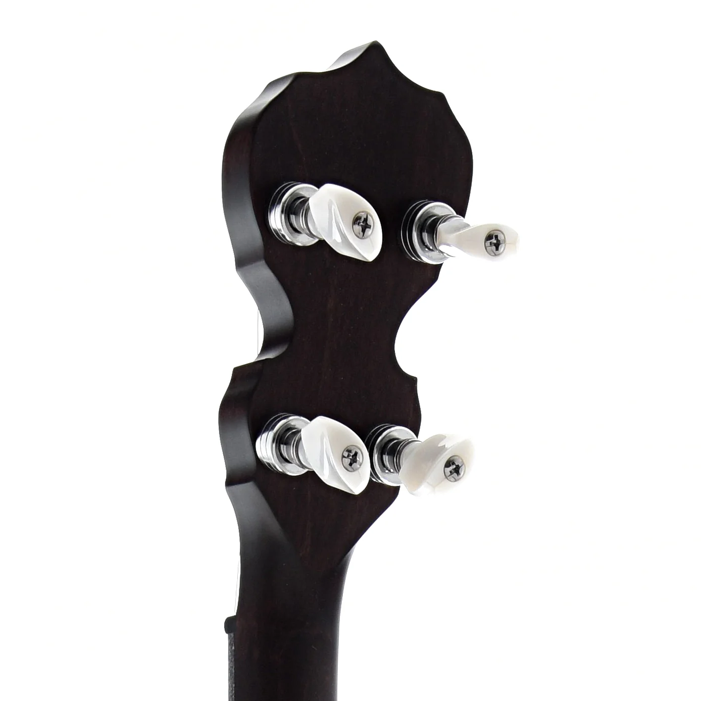 Deering Artisan Goodtime Special Resonator Banjo - Image 6