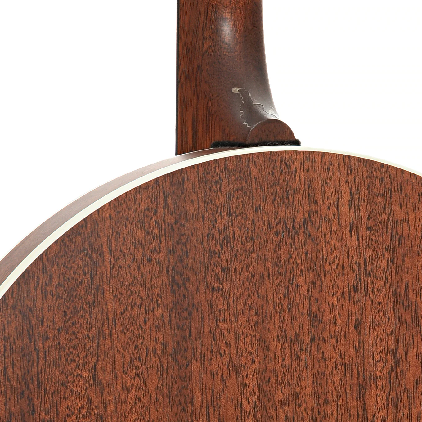 Deering Boston Plectrum 4-string Banjo (2014) - Image 13