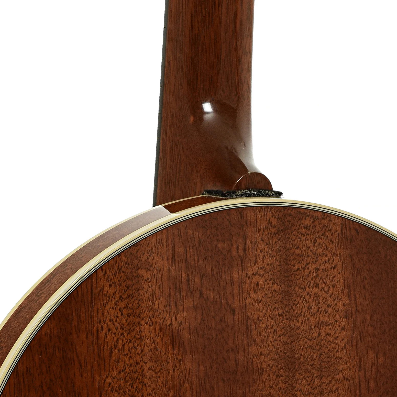 Deering Deluxe 6 Banjo Guitar (1996) - Image 10