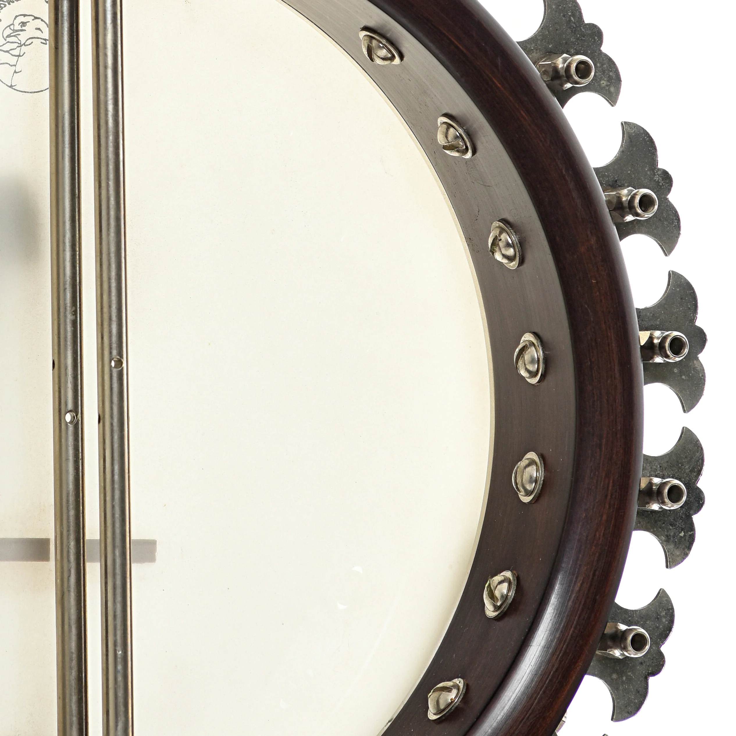 Deering Deluxe Resonator Banjo (1982) - Image 10