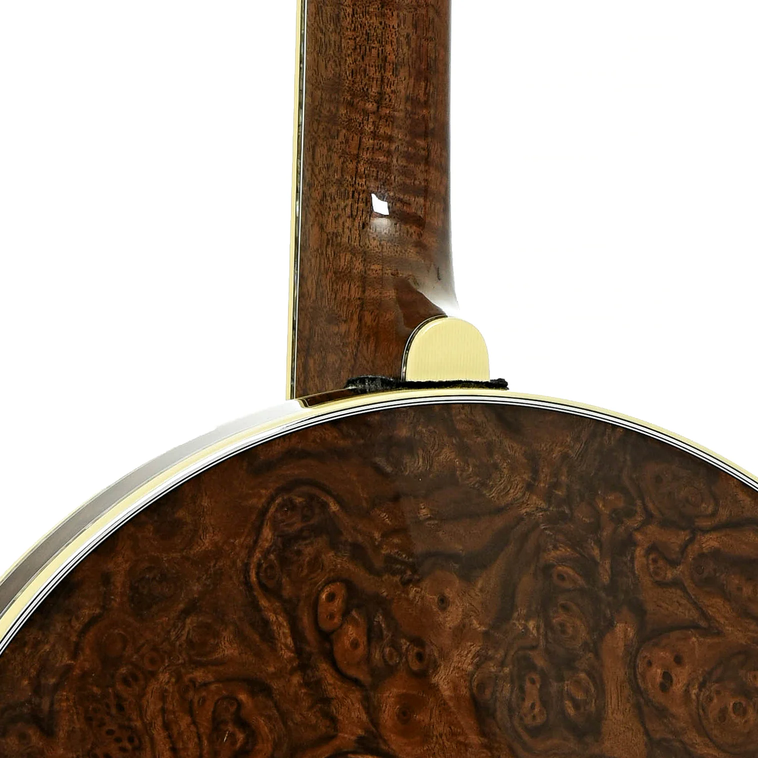 Deering GDL Gold Resonator Banjo (2002) - Image 12
