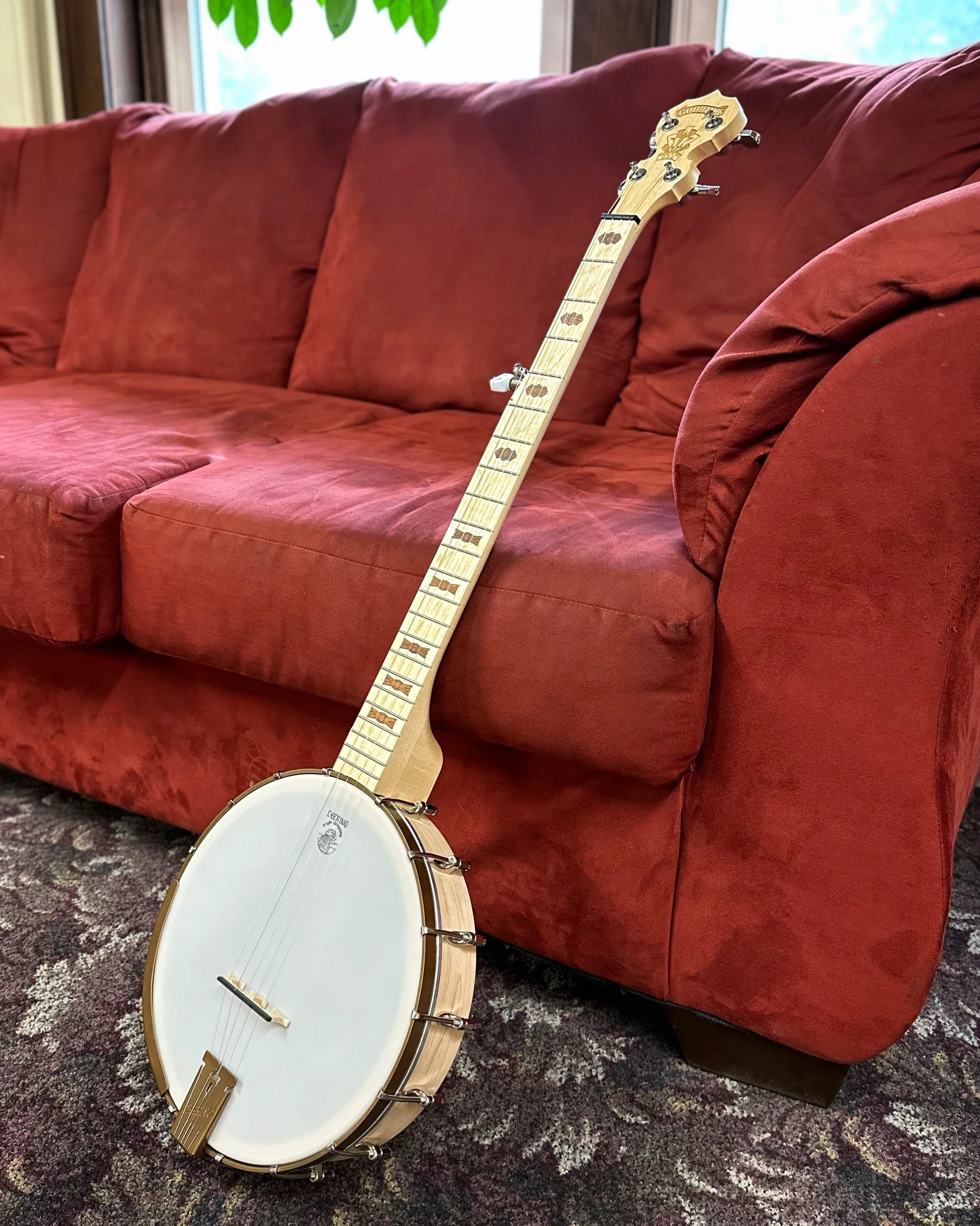 Deering Goodtime Openback Banjo