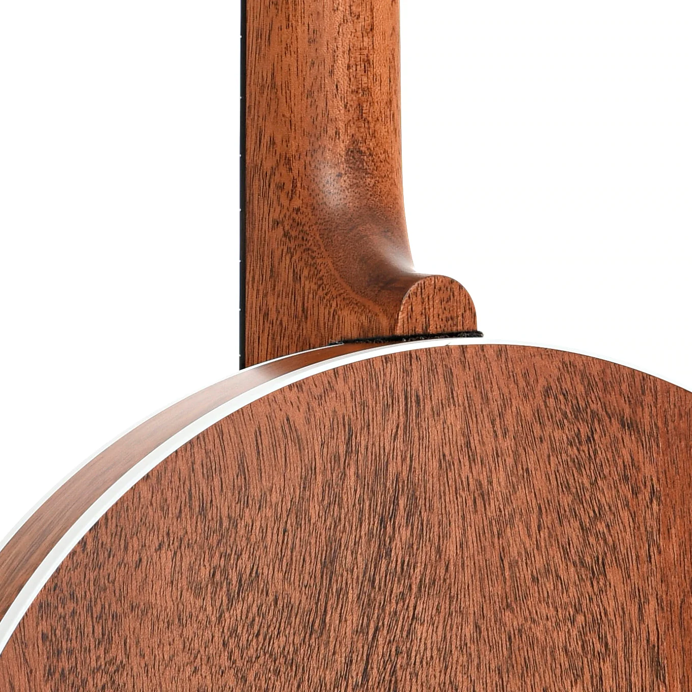 Deering Sierra Mahogany Resonator Banjo & Case - Image 10