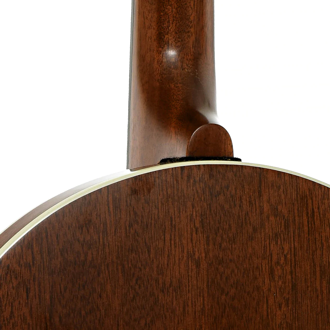 Deering Sierra Mahogany Resonator Banjo (2000) - Image 12