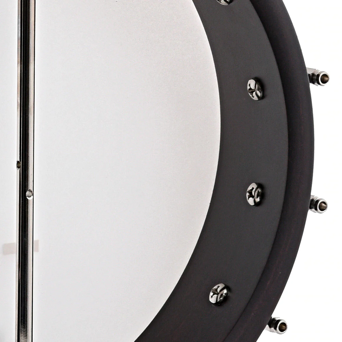 Deering Artisan Goodtime 19-Fret Tenor Openback Banjo - Image 9