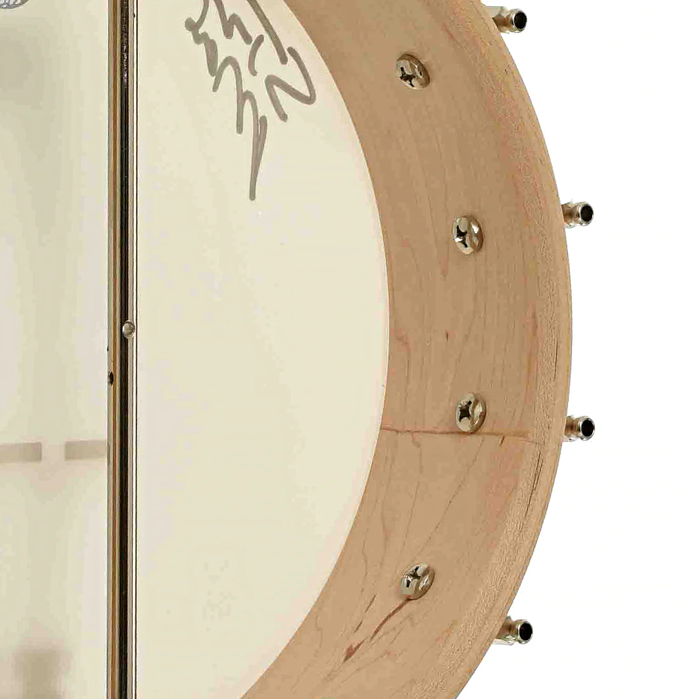 Deering Goodtime "The Crow" Open Back Banjo (c.2010) - Image 10