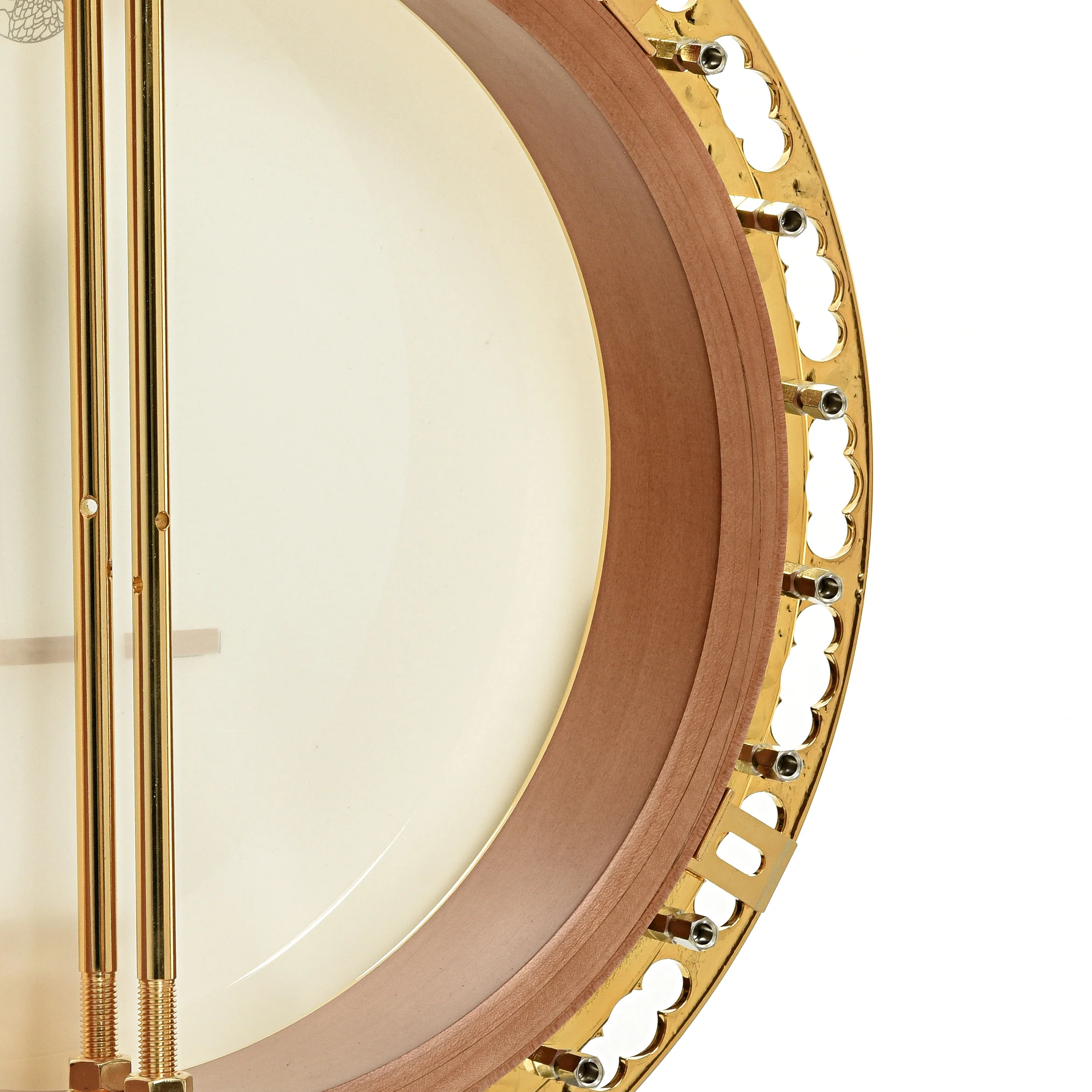 Deering Tony Trischka Golden Clipper Resonator Banjo (2018) - Image 11